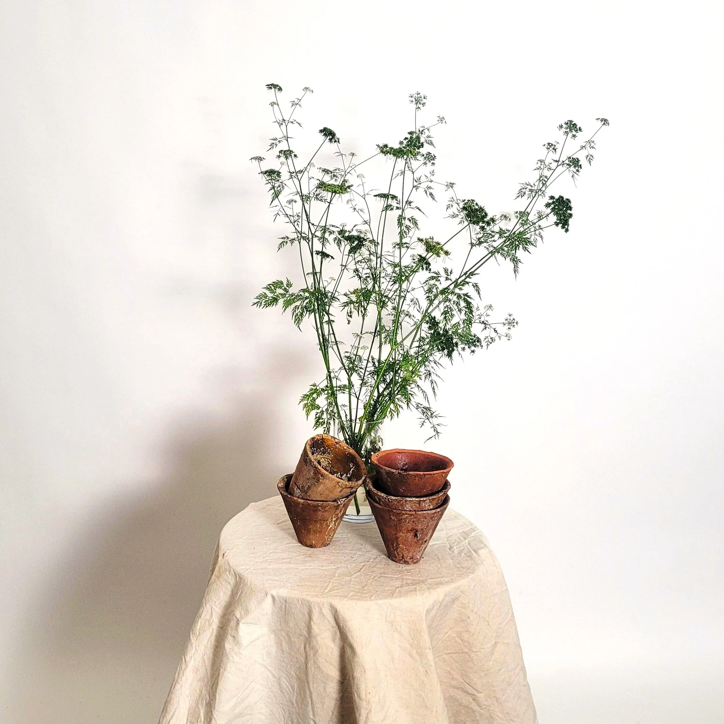 flower pots 2 edit.jpg