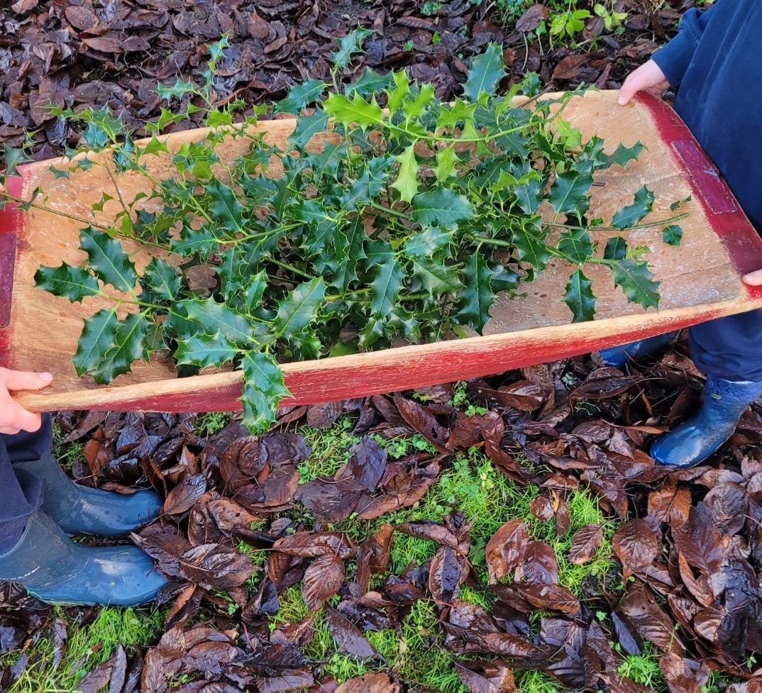 Swedish dough new 5.jpeg