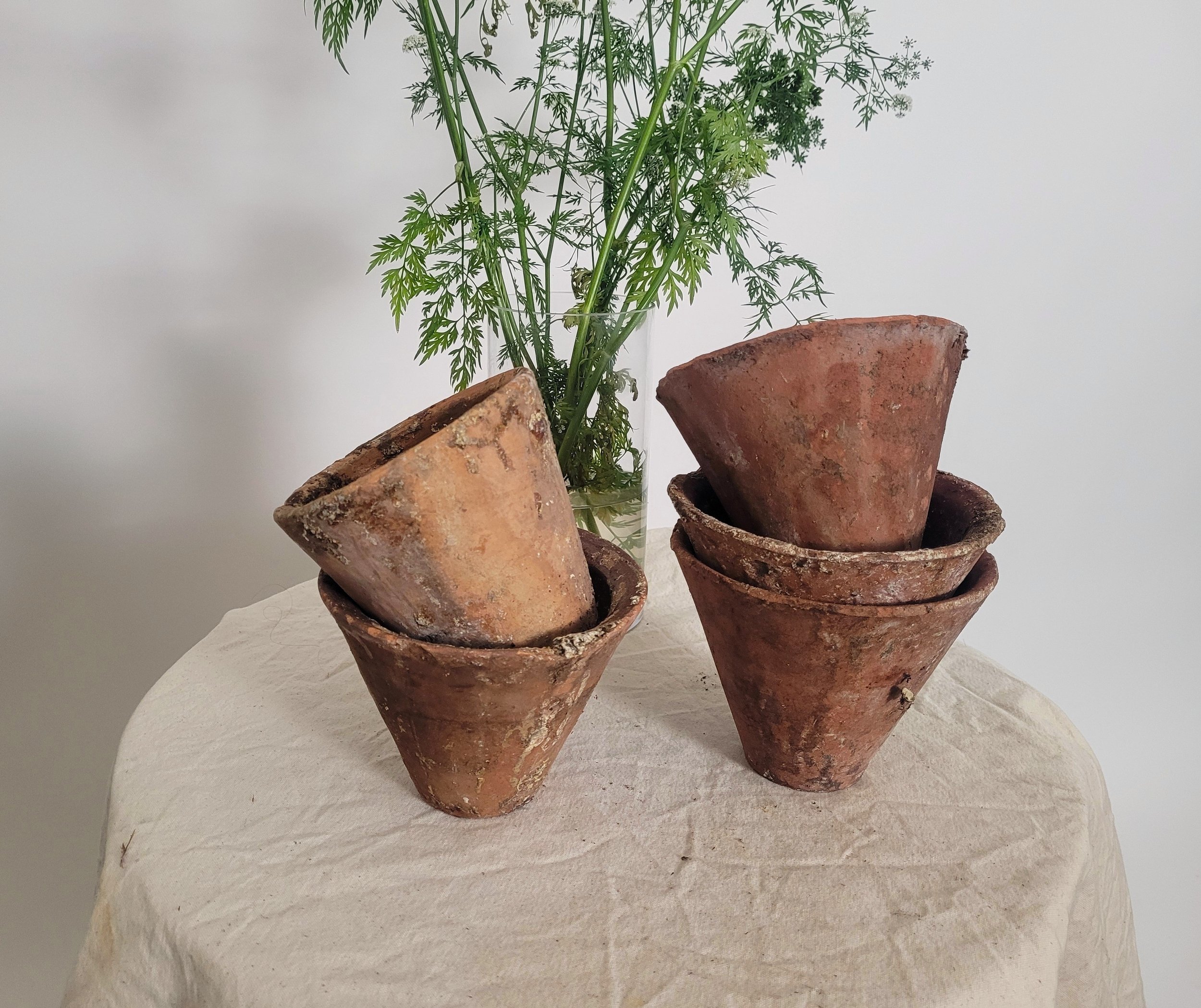 Set of six terracotta seedling pots - €65.00