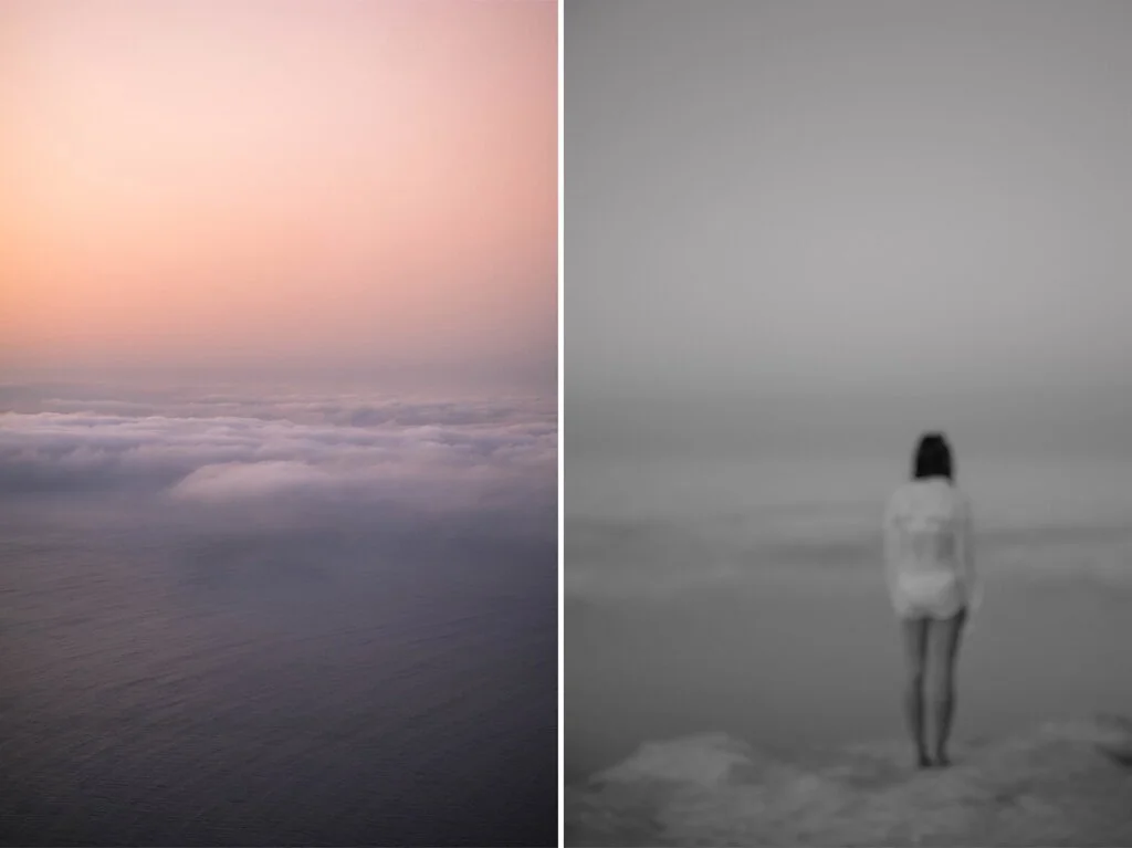 alex-delamadeleine-diptych-pinksky-nb.jpg