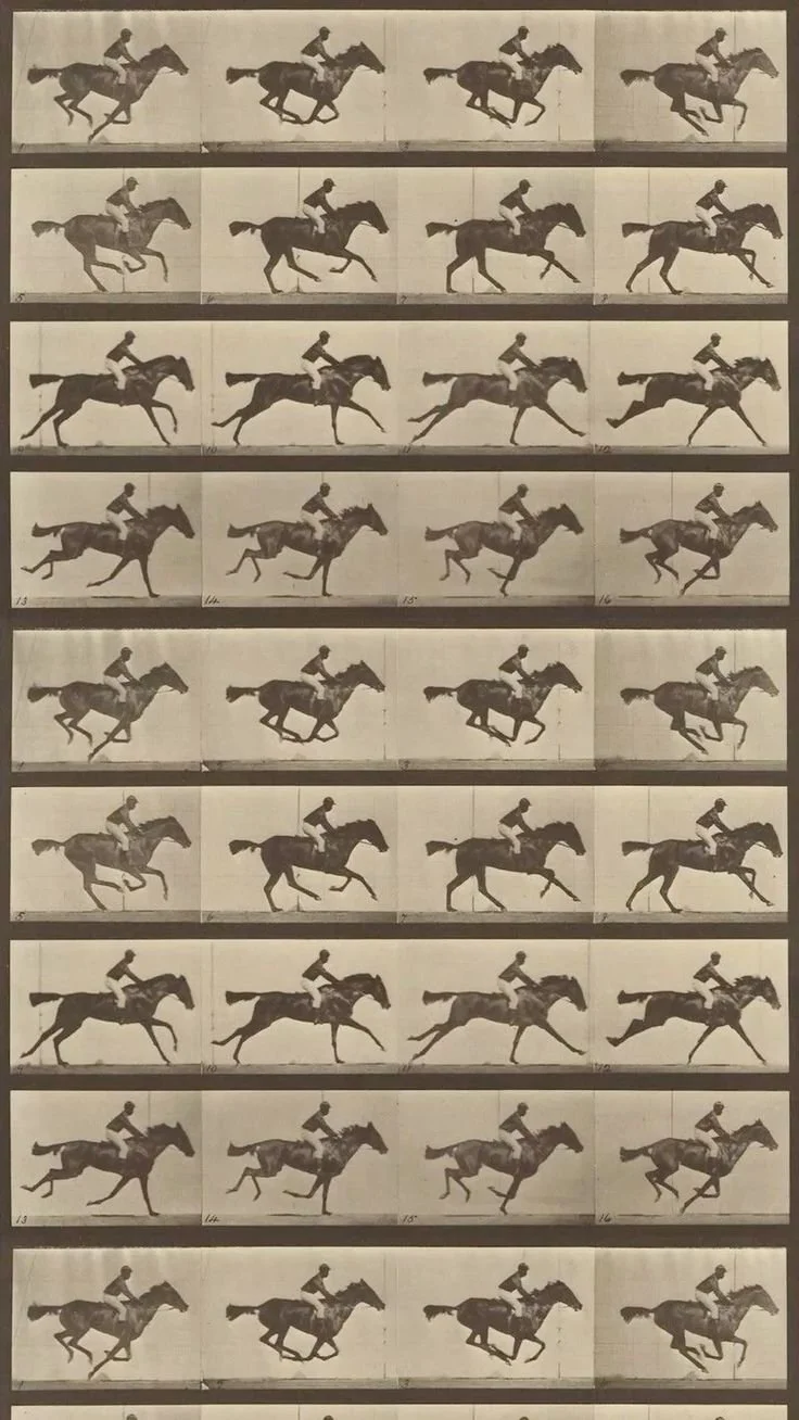 _ - 2026-02-15T101606.763.jpeg