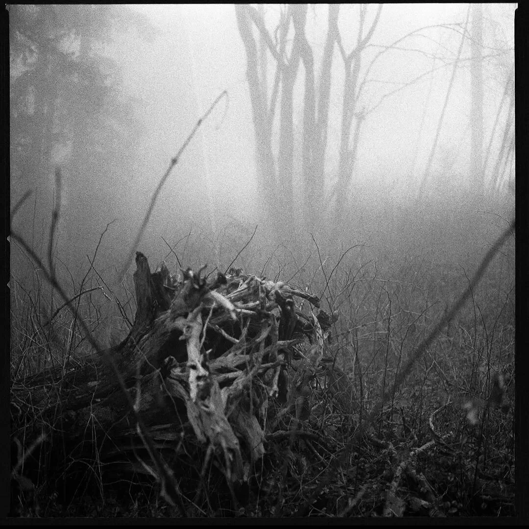 ADRIAN DZIEWANSKI @dziewanski_ || Unknown title +

&gt;&gt; Caption by the artist + visit adriandziewanski.bandcamp.com &gt;&gt;

Blazing new trails in nearby terrain. Walking the unfamiliar and being lead by instinct and intuition. Feel something. S