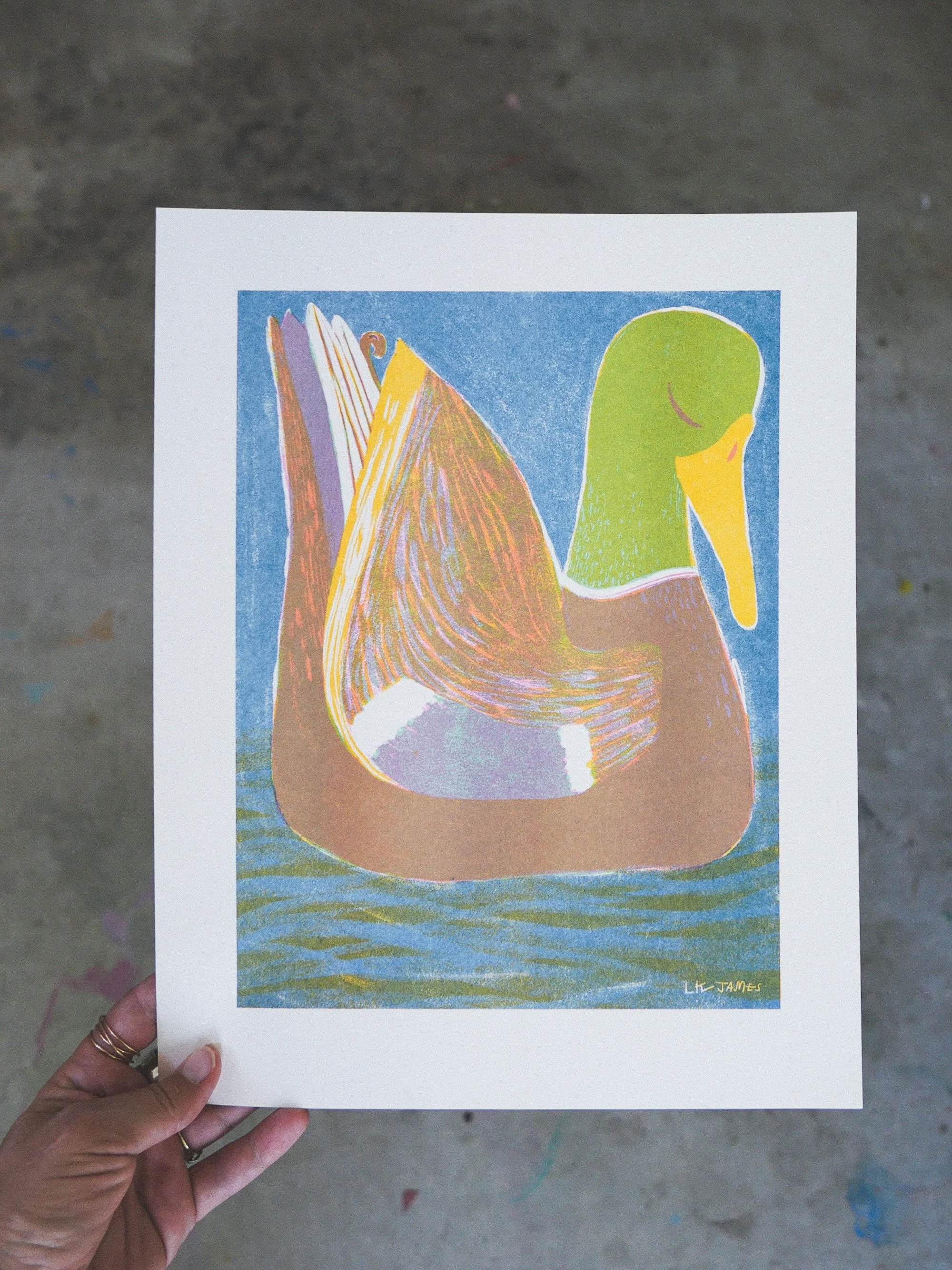 Duck Series: Mallard Drake Risograph Print