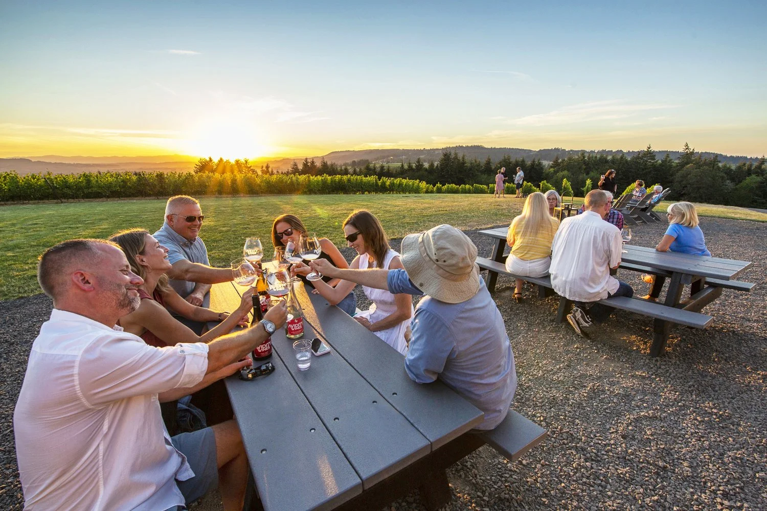 Bring Back Fun Visit — Avidity Wines