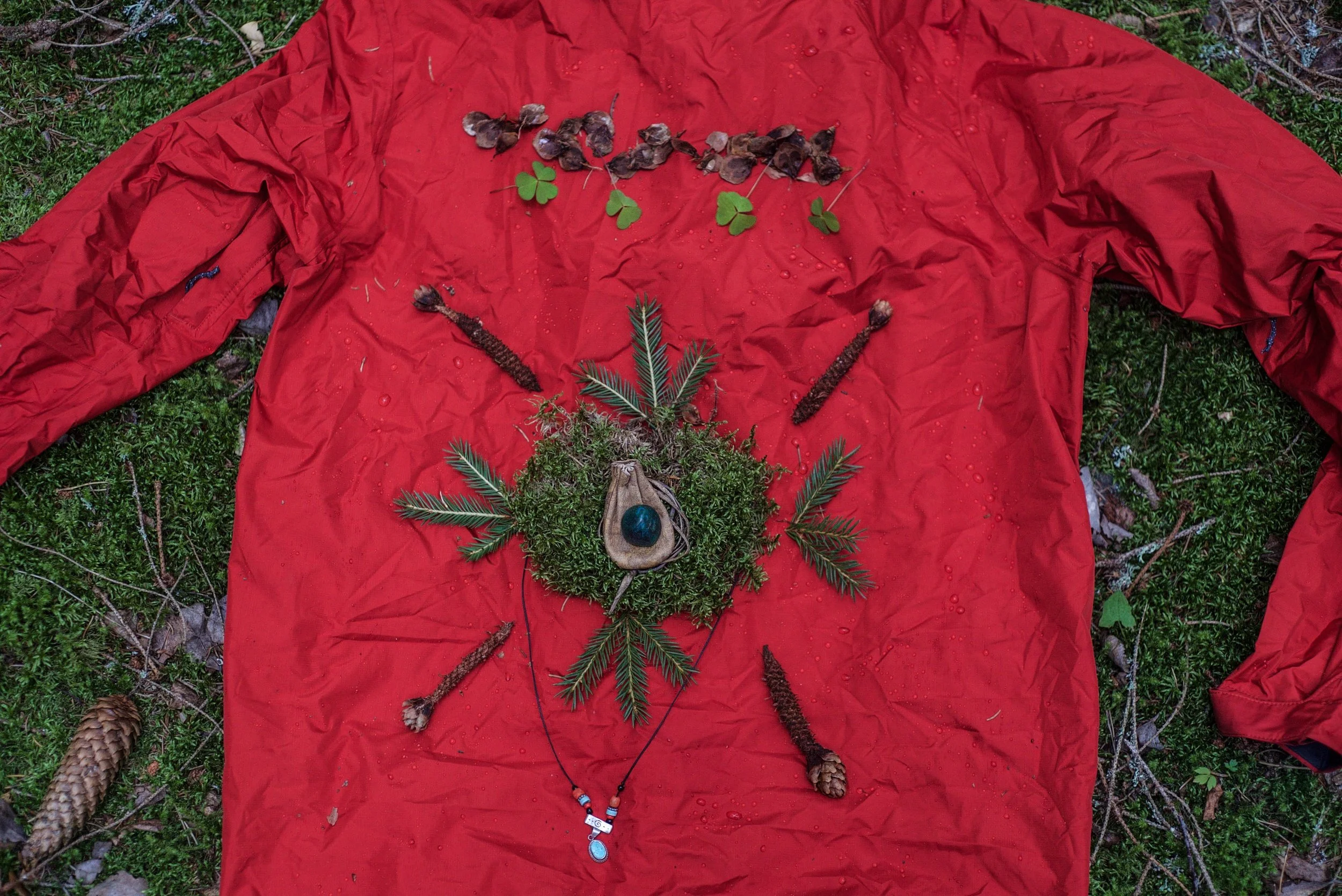 Copy of Karin Norrsken-67.jpg