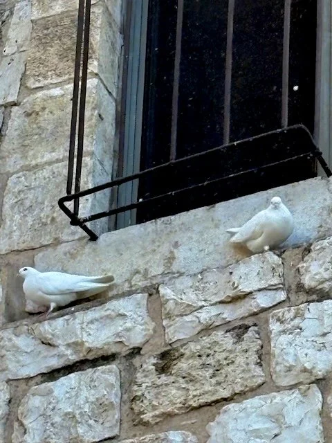 Our Journey Continues