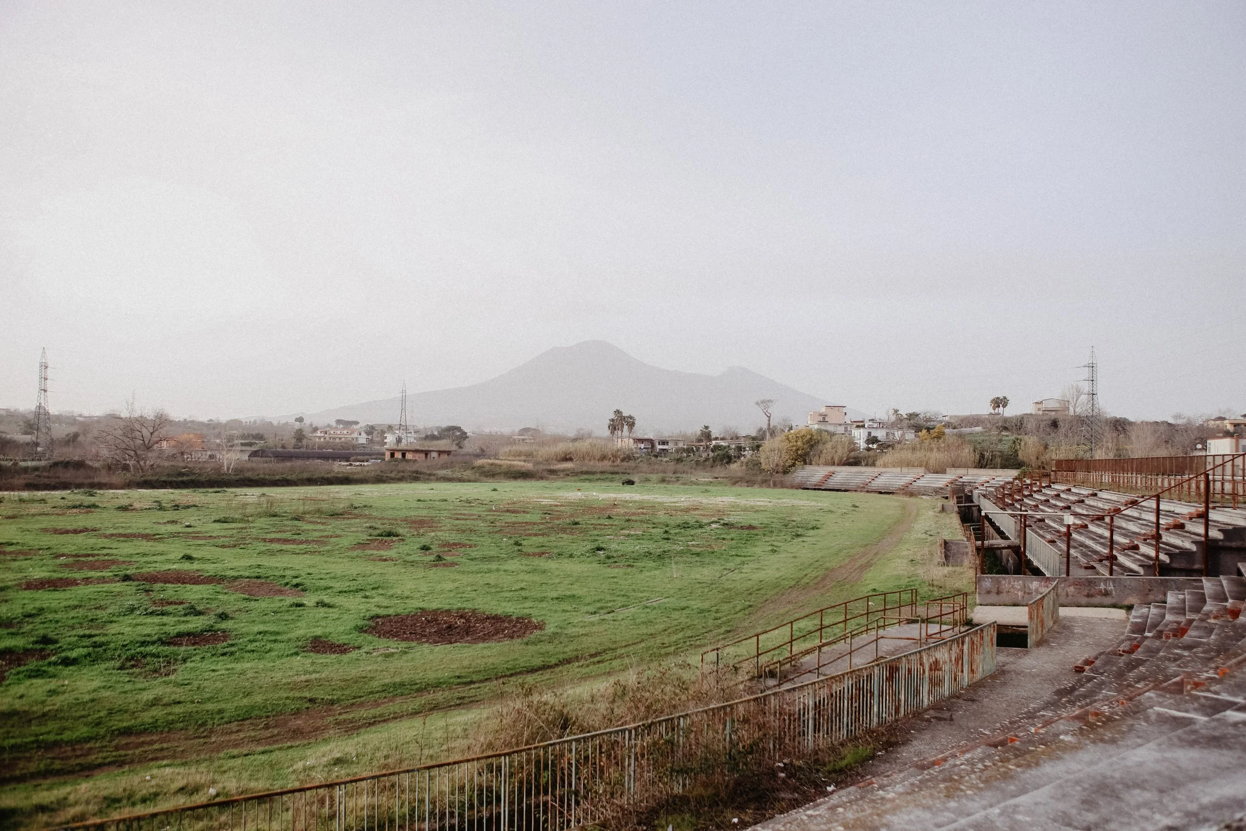 Pompeii: Shoots spring lonely