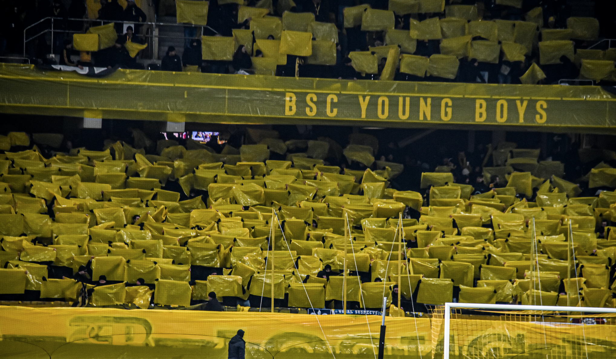Young Boys: Winter