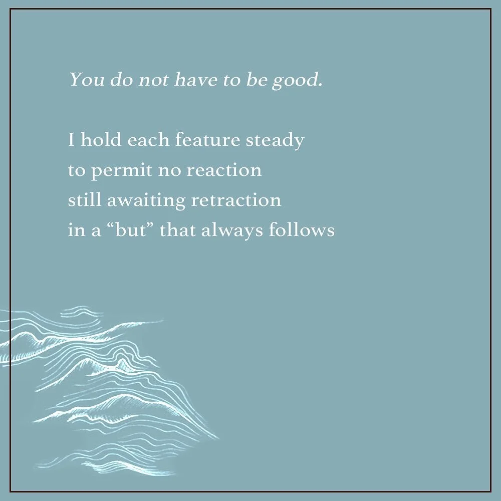and while I&rsquo;m here, a reminder to be kind to yourself. This was written in response to Mary Oliver&rsquo;s &ldquo;Wild Geese&rdquo; (below)
///
&ldquo;Wild Geese&rdquo;
You do not have to be good.
You do not have to walk on your knees
for a hun