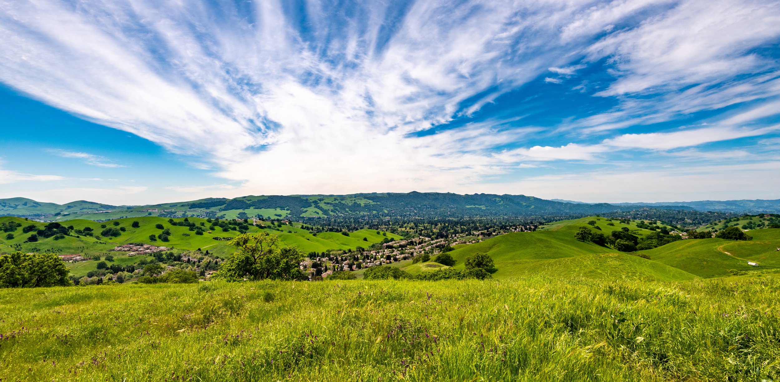 AdobeStock_336270433.jpeg