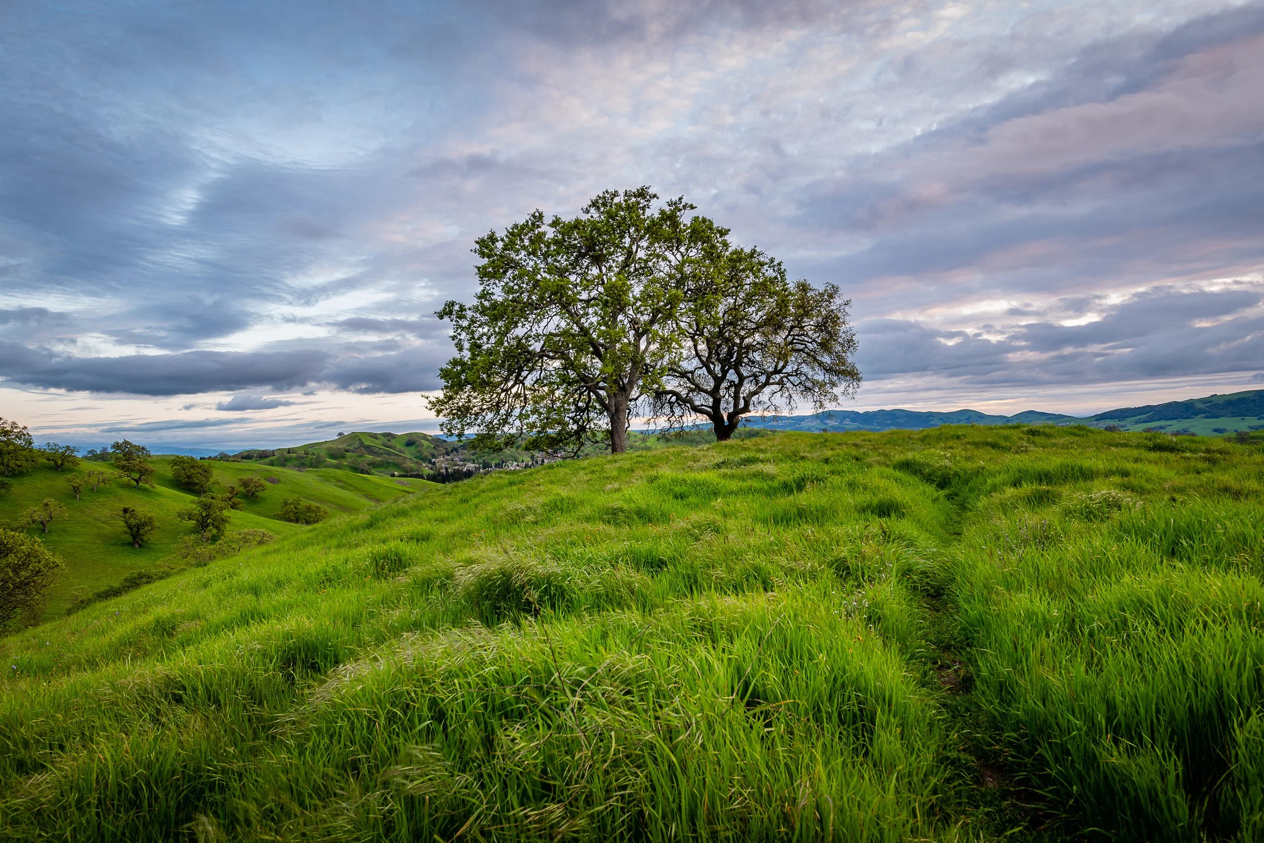 AdobeStock_265921862.jpeg