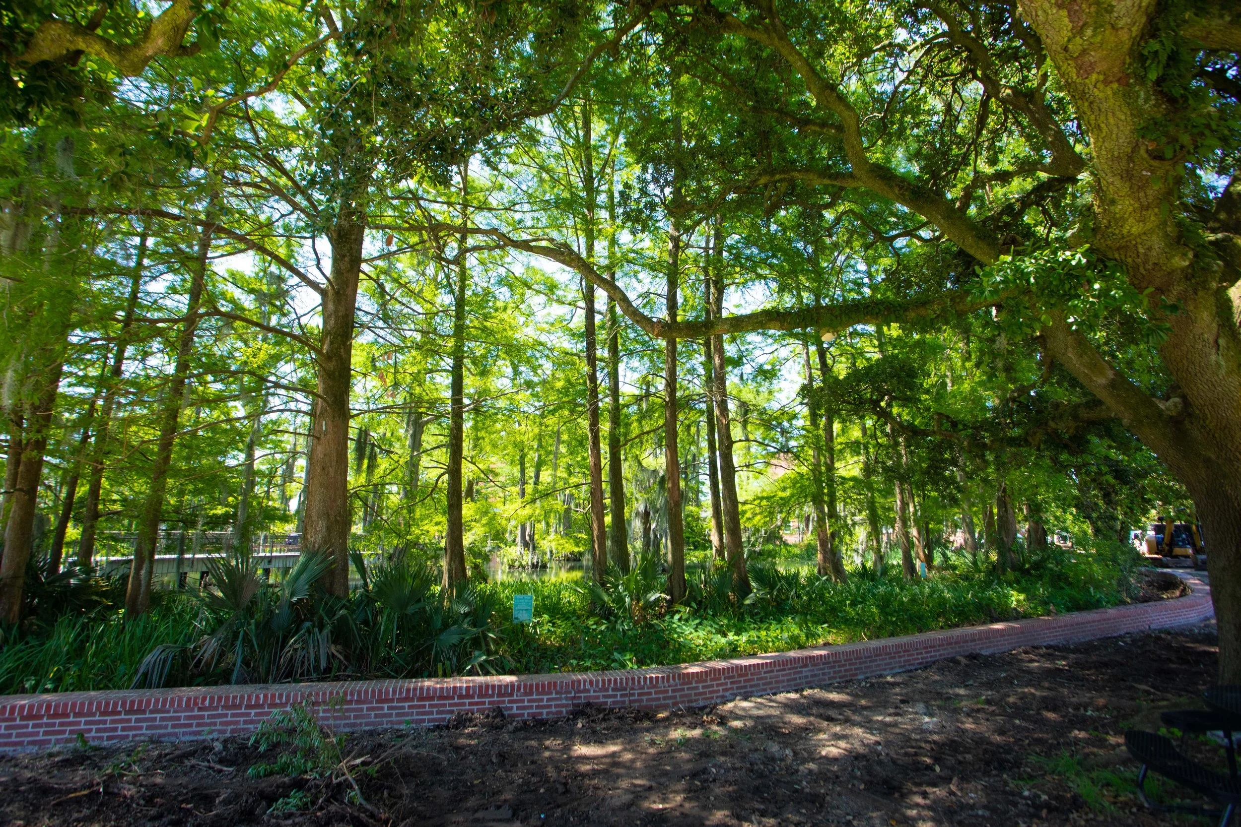 Kasasa.jpg