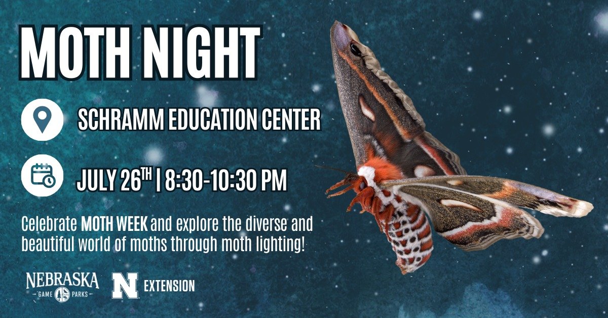 Schramm After Dark: Moth Night