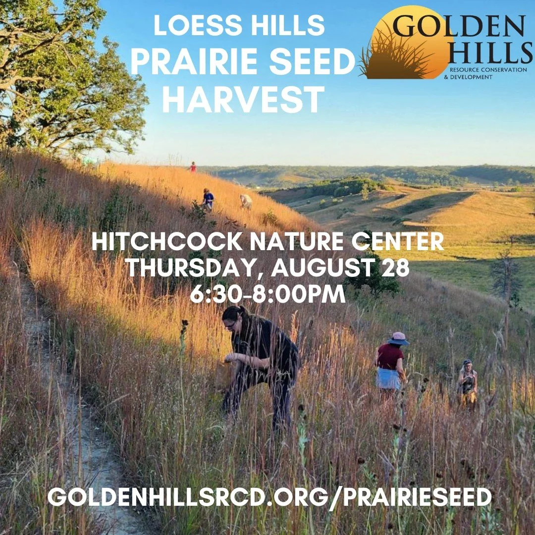 Loess Hills Prairie Seed Harvest - Hitchcock Nature Center