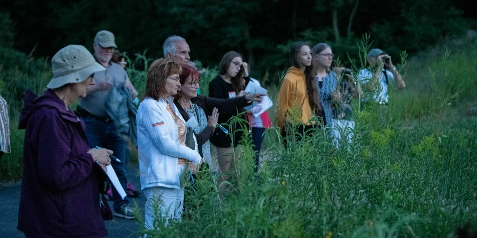 Singing Insects Tour