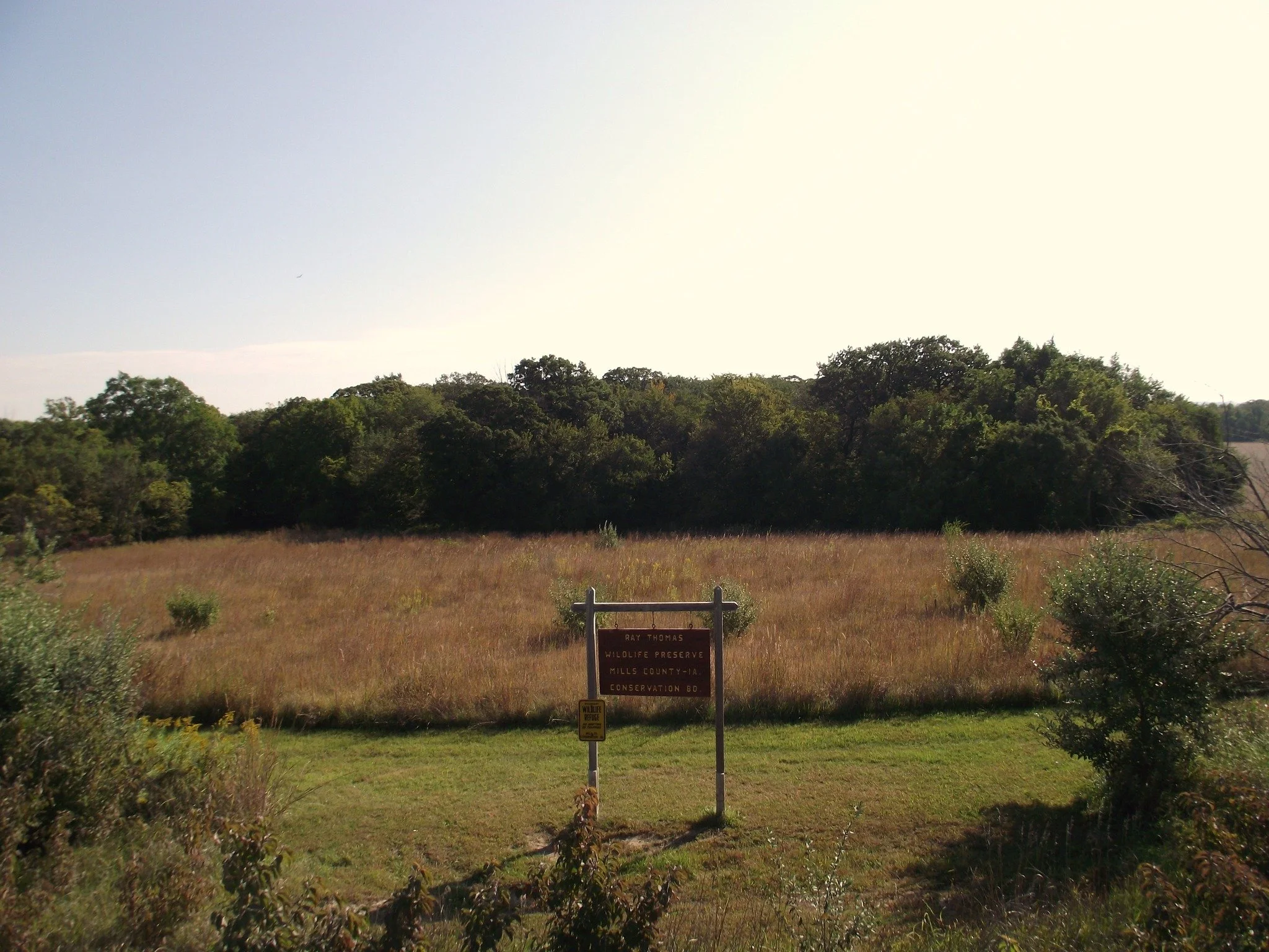 Prairie Seed Harvest - Ray Thomas Wildlife Preserve