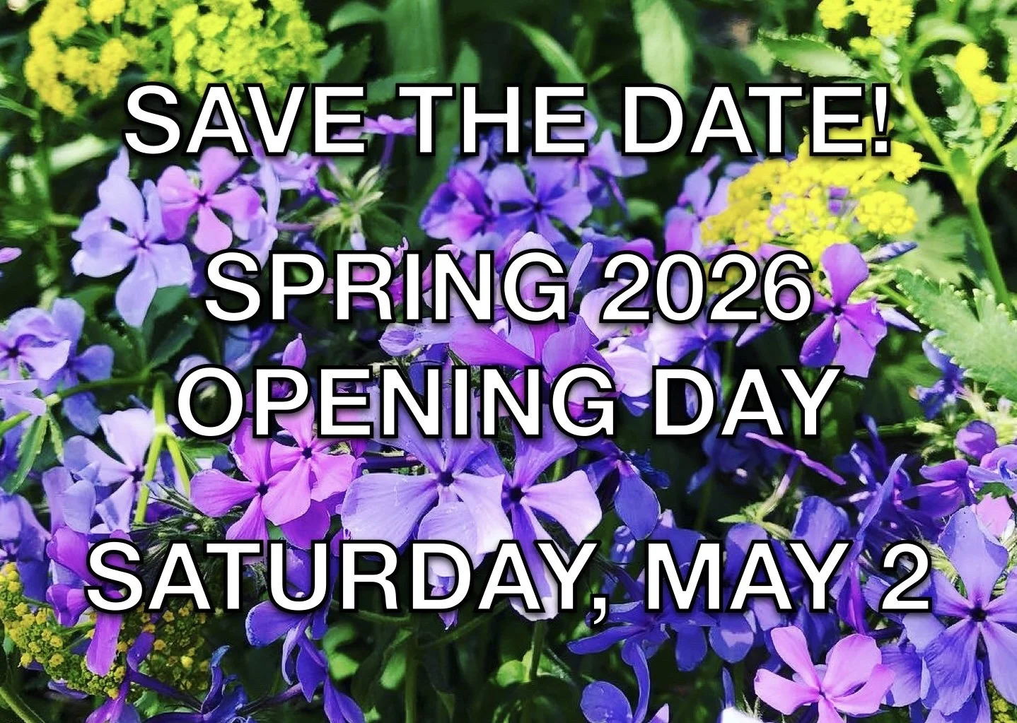 Spring 2026 Opening Day