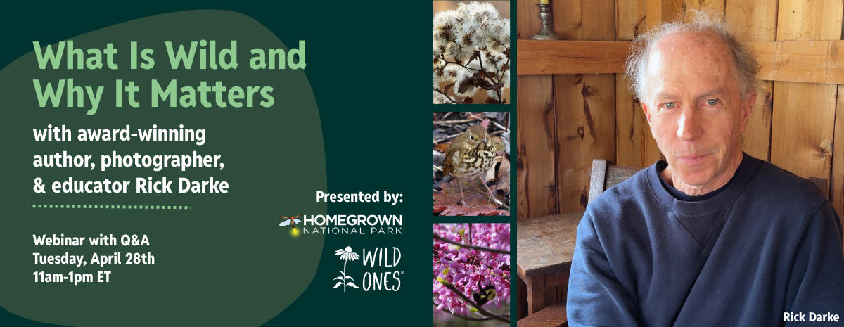 What Is Wild and Why It Matters