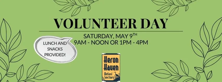 Volunteer Day!