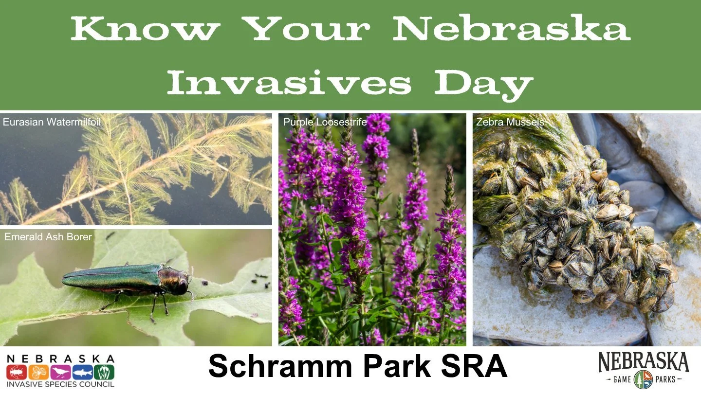 Know Your Invasives Day