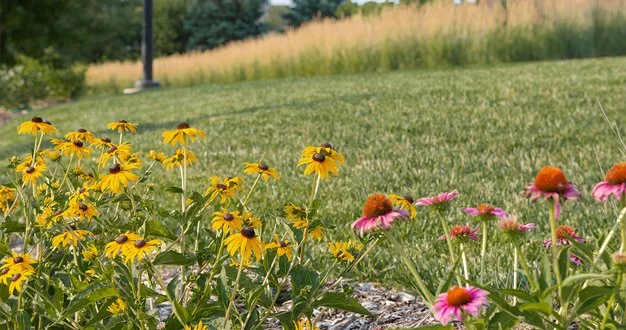 Sustainable Landscapes 101
