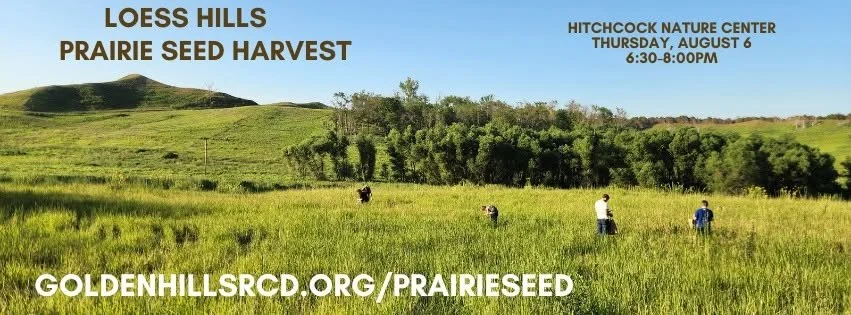 Loess Hills Prairie Seed Harvest - Hitchcock Nature Center