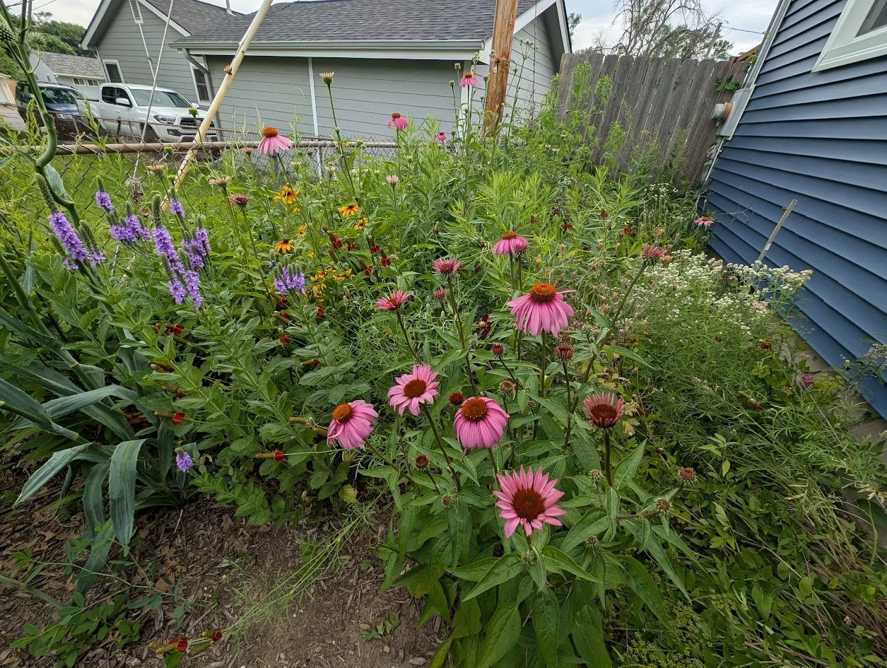 PXL_20250623_205604922.jpg