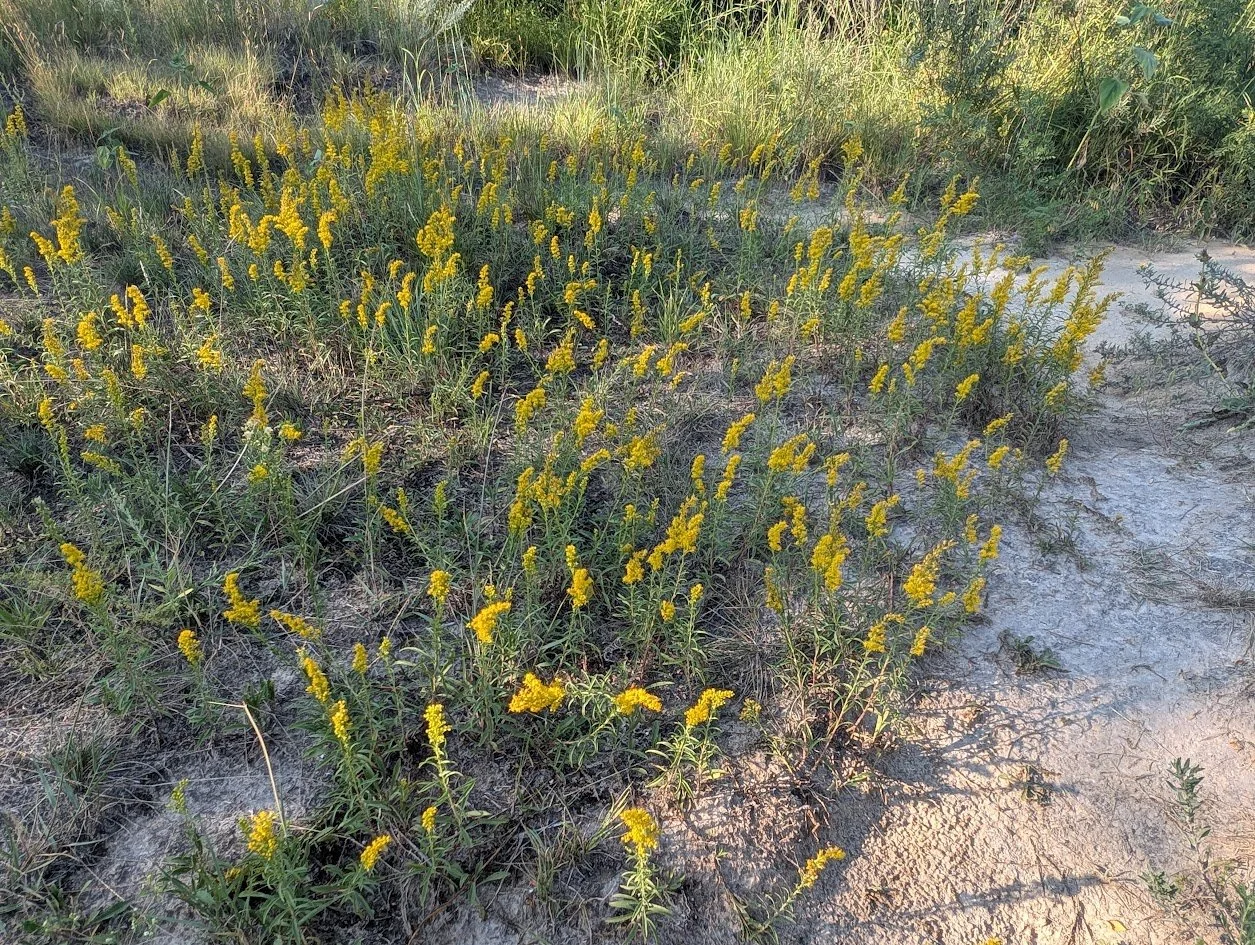 PXL_20250814_230539839.jpg