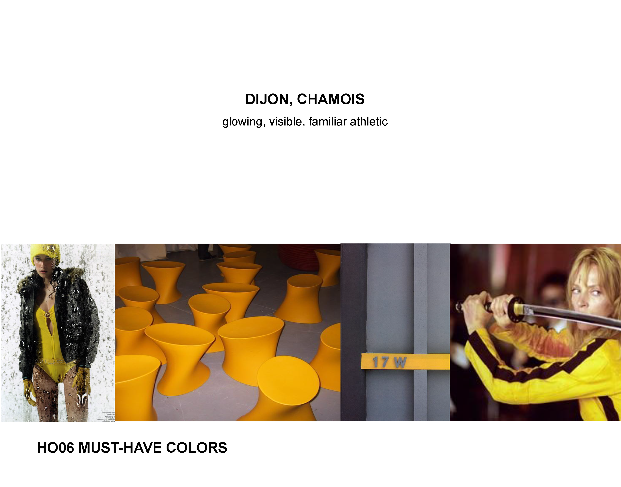 HO06 Final Adoption COLOR.ppt_Page_06.png