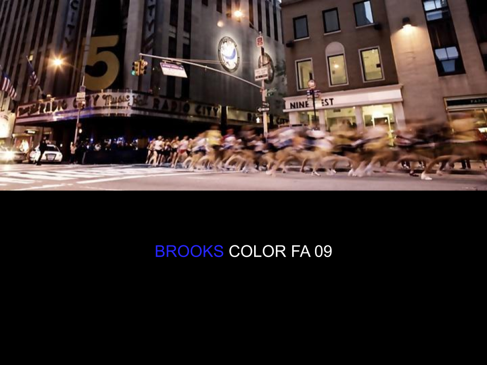 Brooks Fall 09 Color Direction
