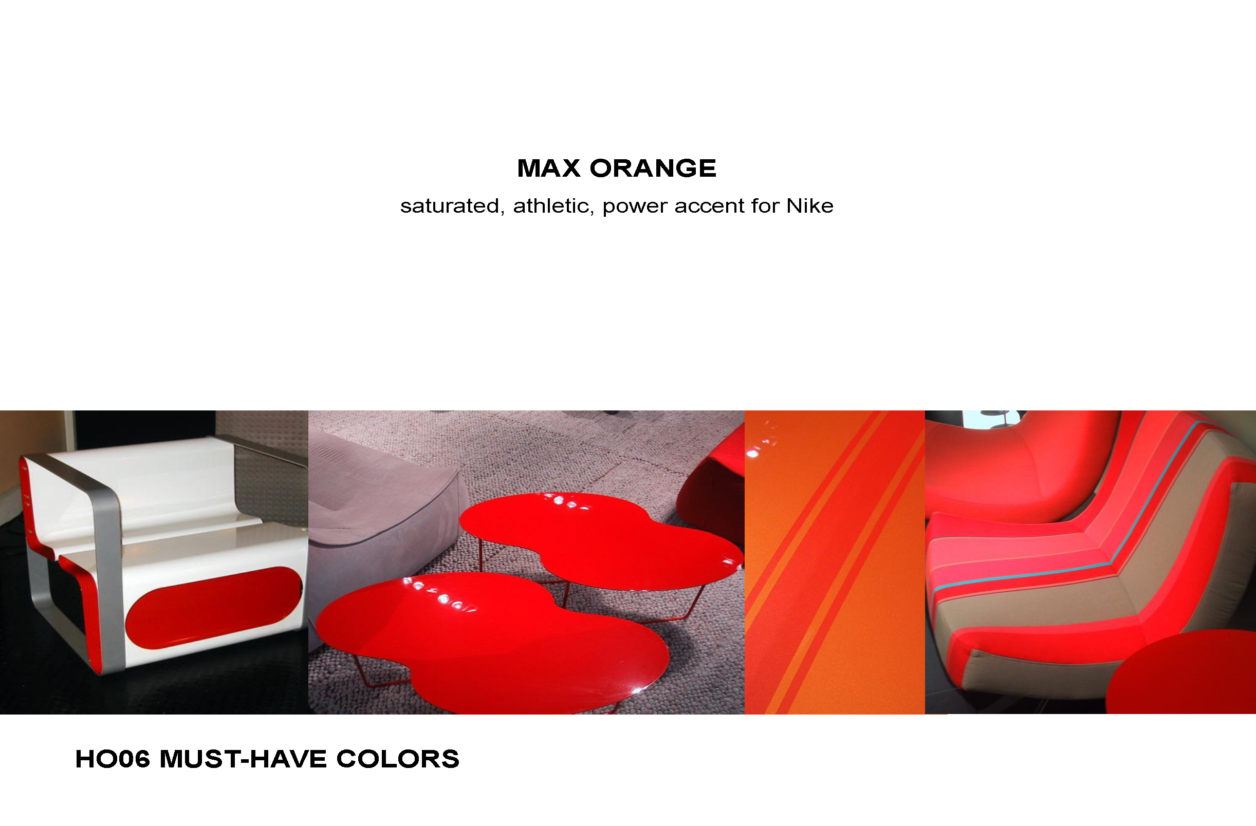 HO06 Final Adoption COLOR.ppt_Page_09.png