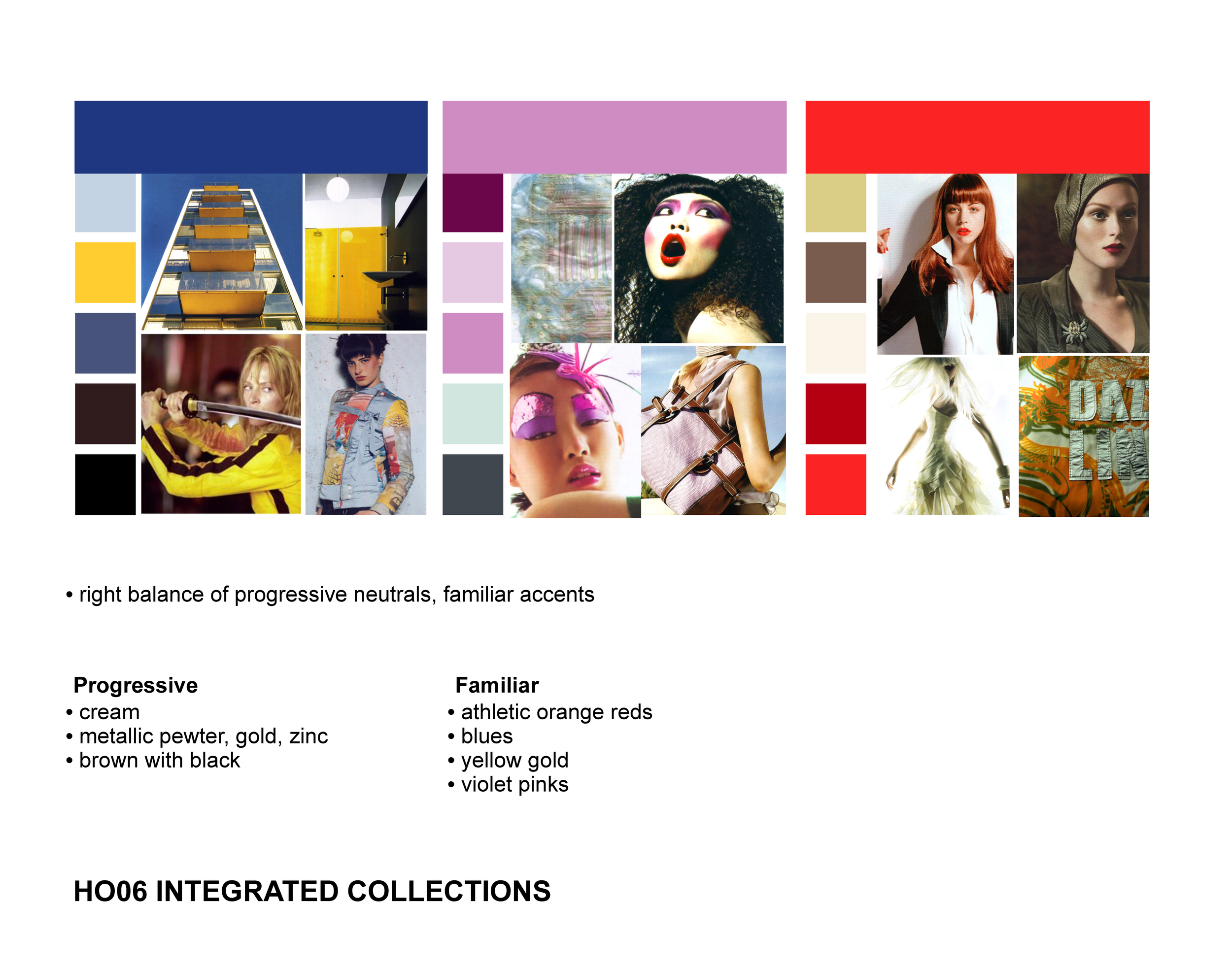 HO06 Final Adoption COLOR.ppt_Page_11.png