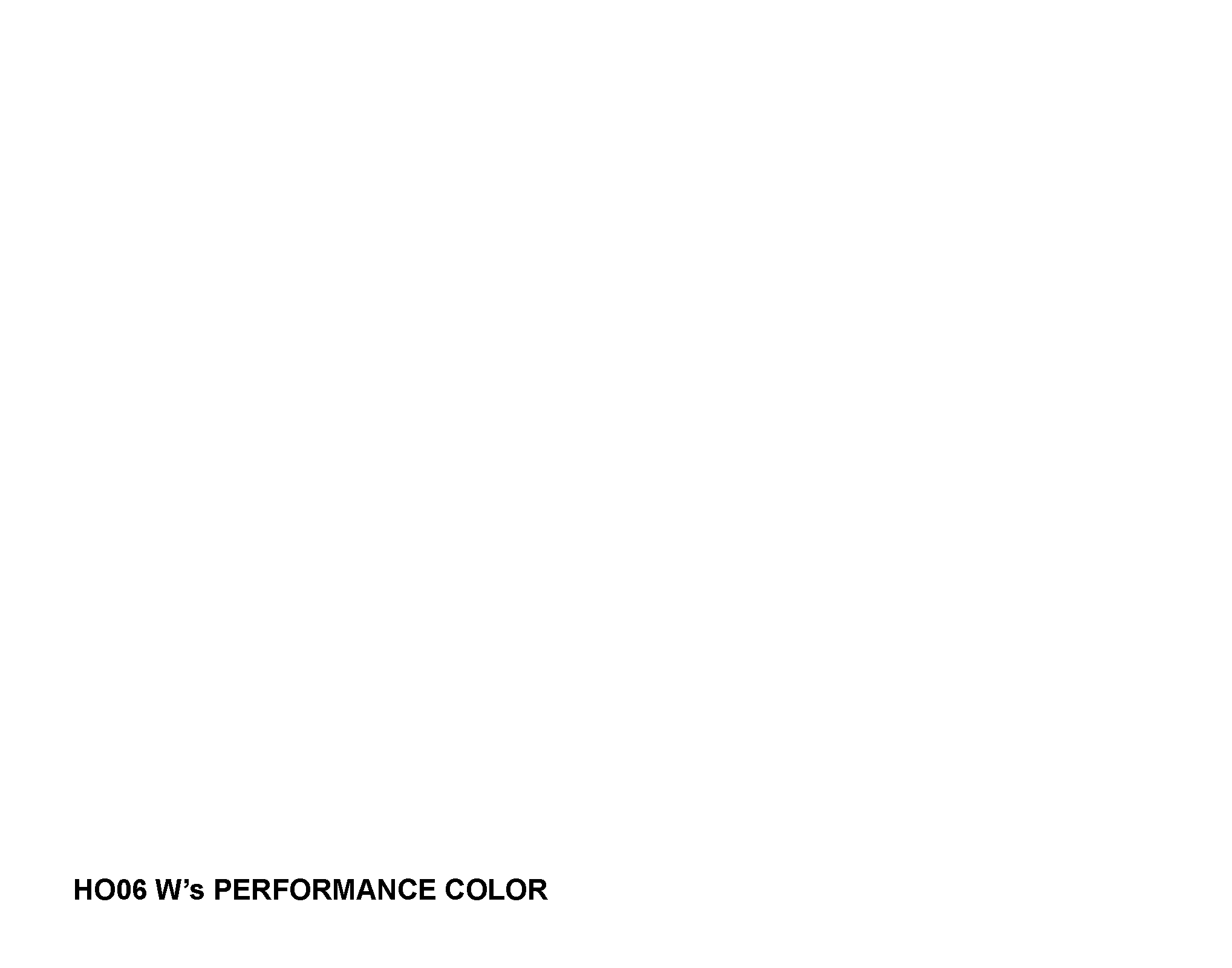 HO06 Final Adoption COLOR.ppt_Page_01.png