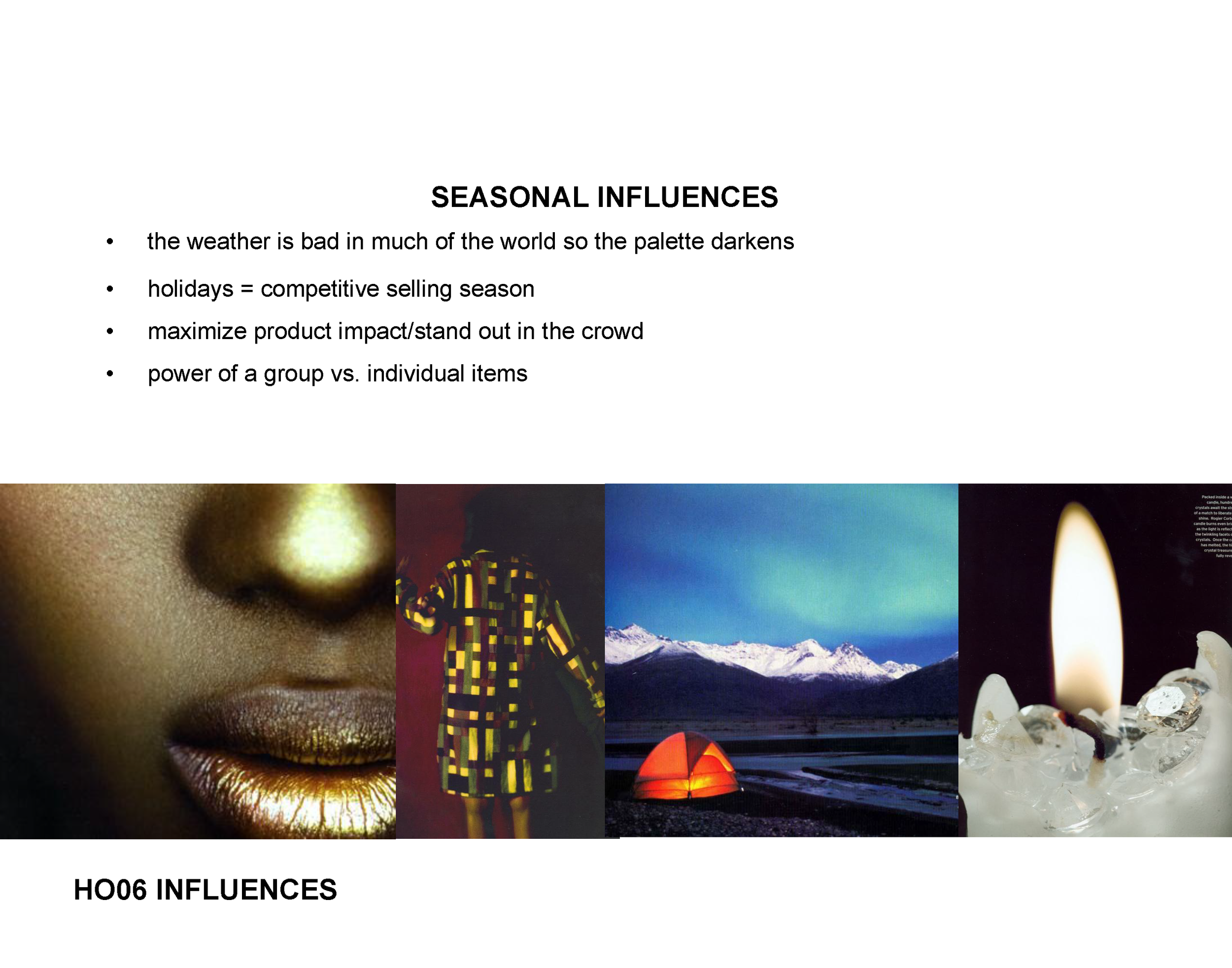 HO06 Final Adoption COLOR.ppt_Page_02.png