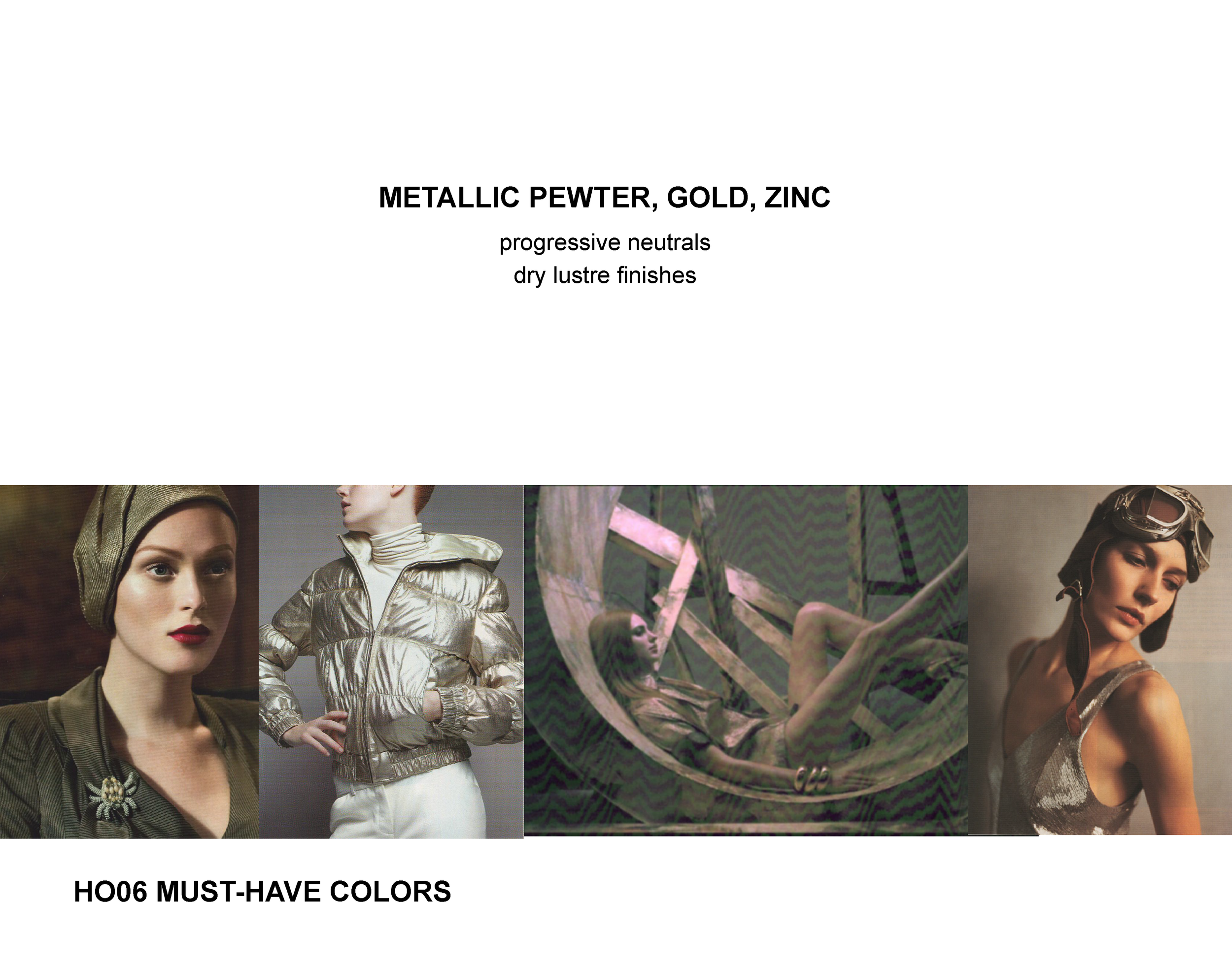 HO06 Final Adoption COLOR.ppt_Page_08.png