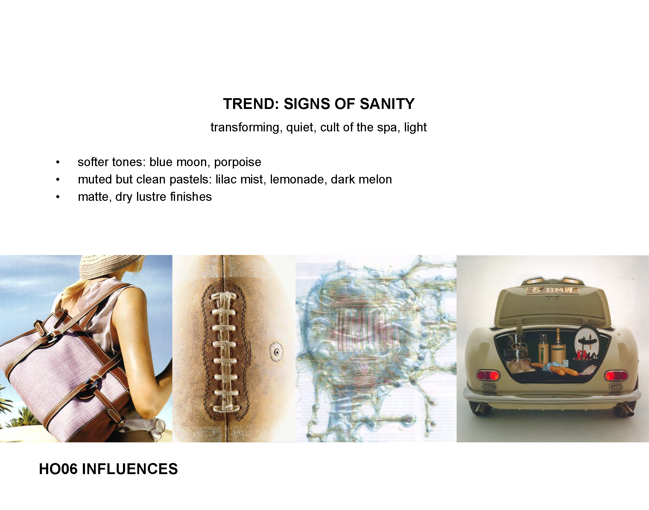 HO06 Final Adoption COLOR.ppt_Page_05.png