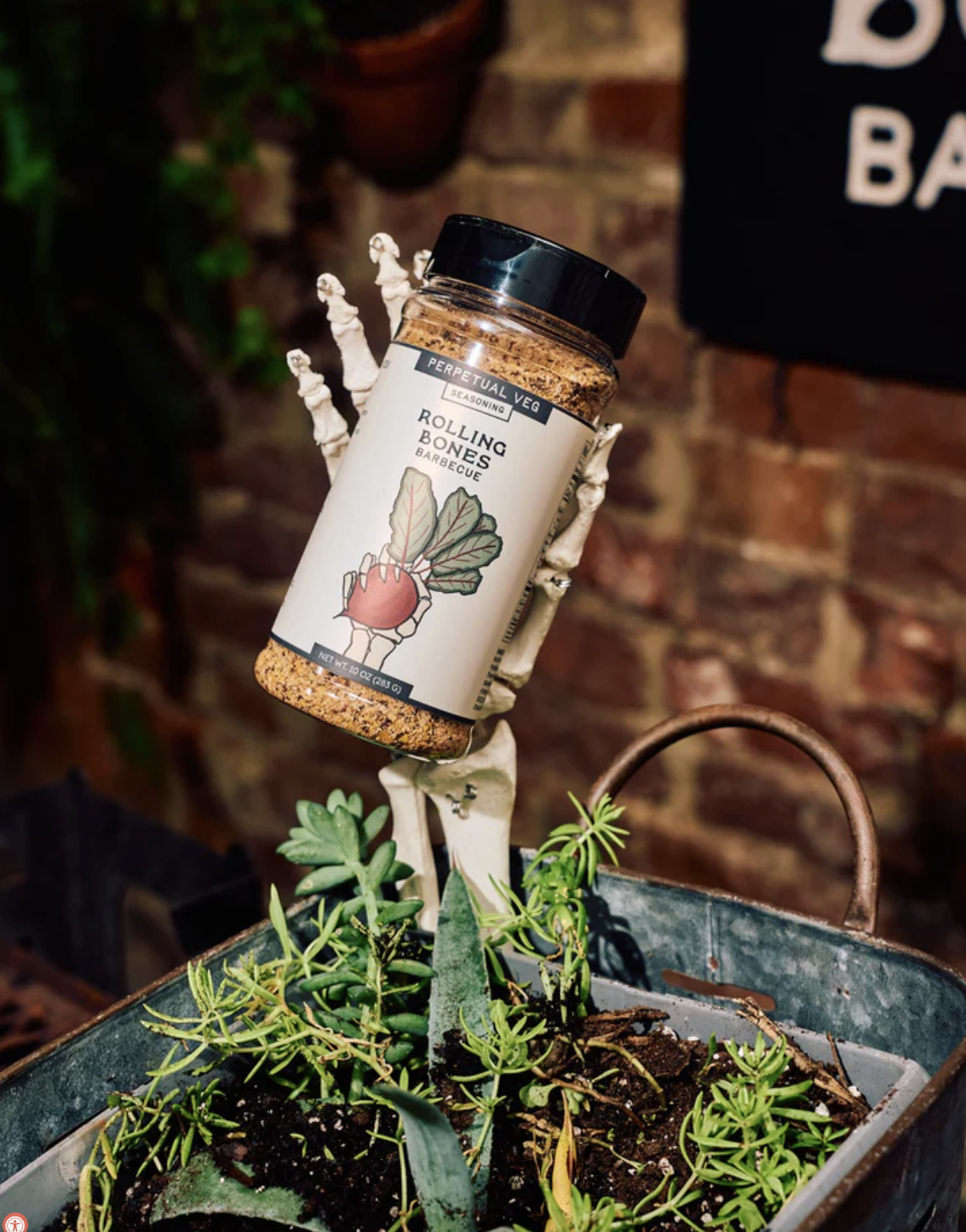 Screenshot 2026-03-08 at 1.23.52 PM.png