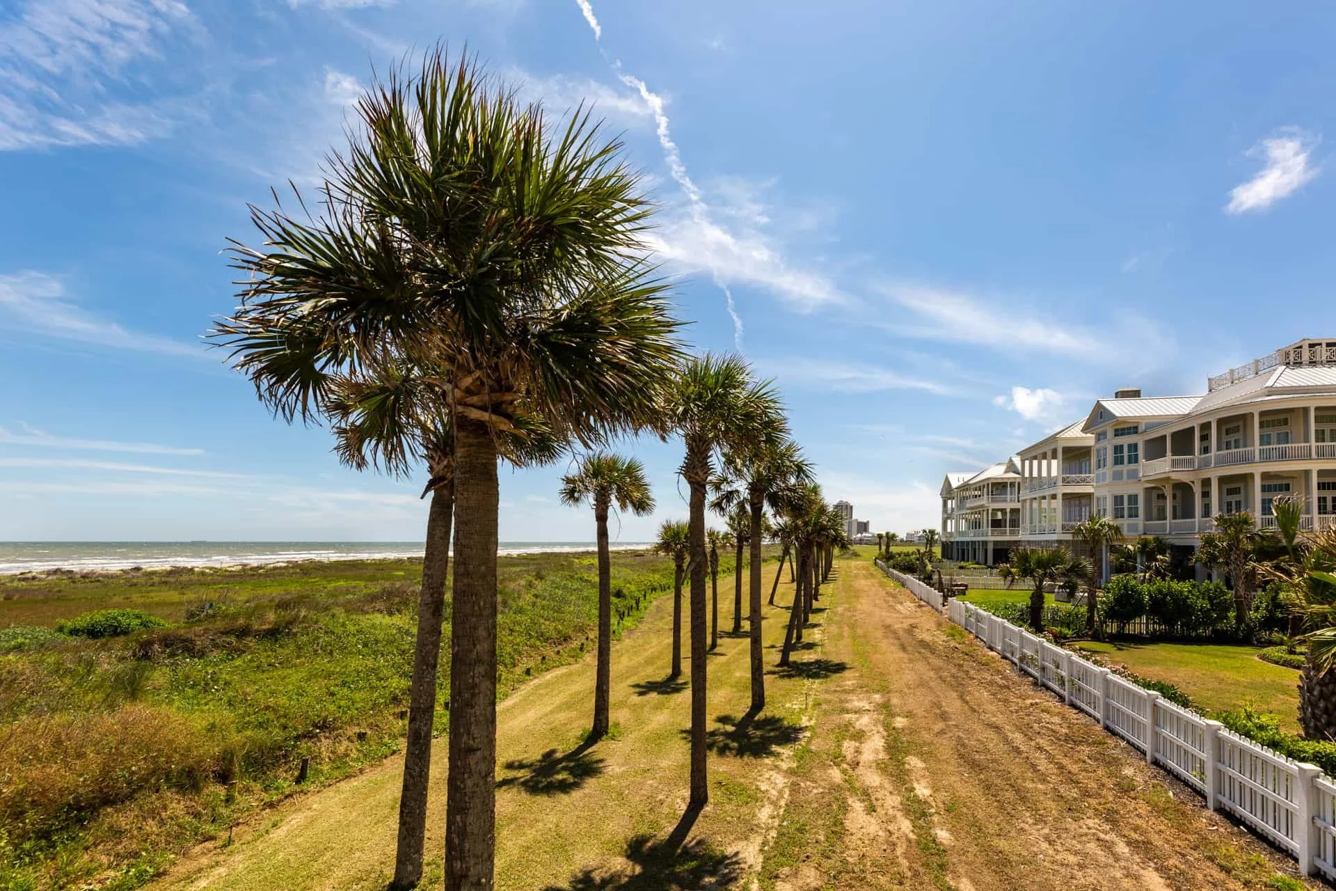 Row of palm trees along a grassy path near the beach with ocean in the background, blue sky with a few clouds, and large white residential buildings with porches.