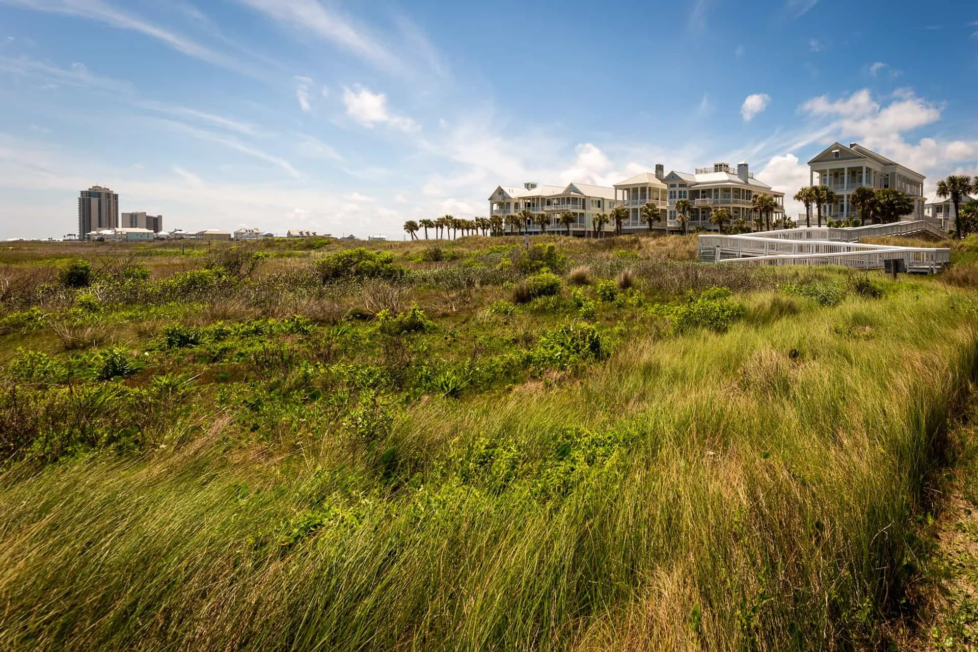 A grassy area with wild vegetation leads to a row of large beach houses on a hill, with palm trees and a partly cloudy blue sky in the background.