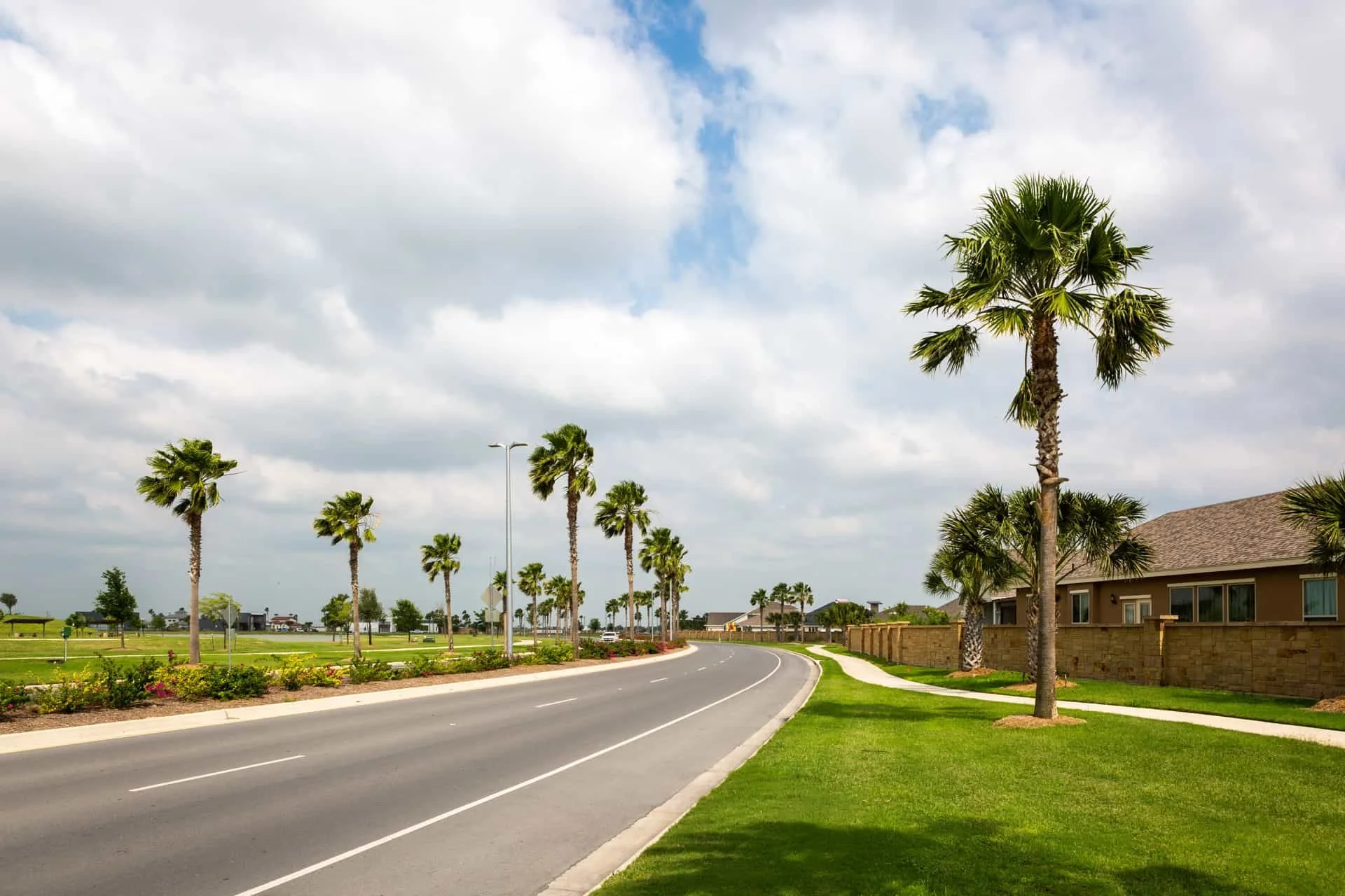 A suburban street with palm trees, sidewalk, grass, and single-story buildings under a cloudy sky.