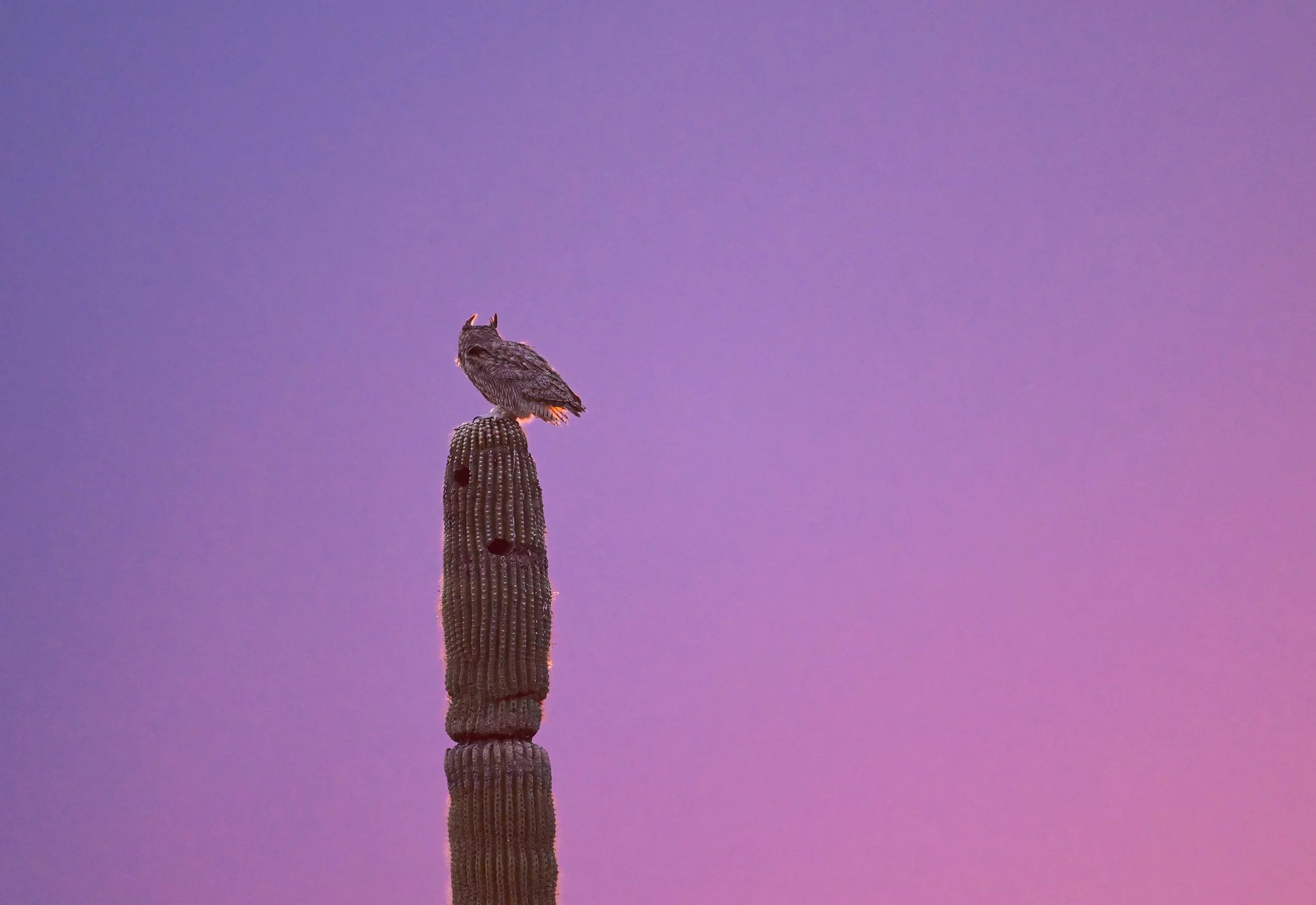 DSC_7765.jpg