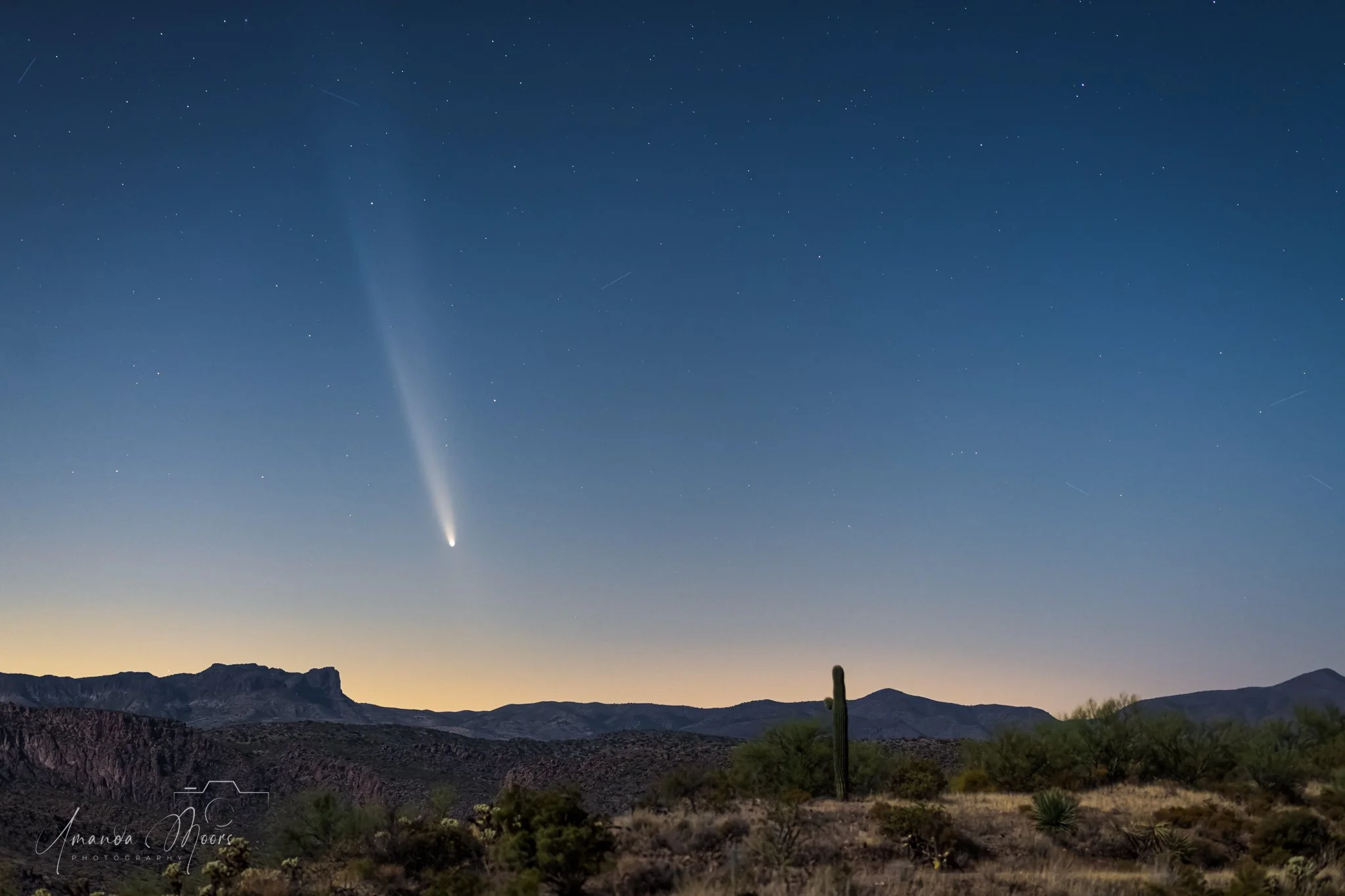 COMET C2023 A3 Tsuchinshan-ATLAS in moonlight- Pinto Creek, Arizona