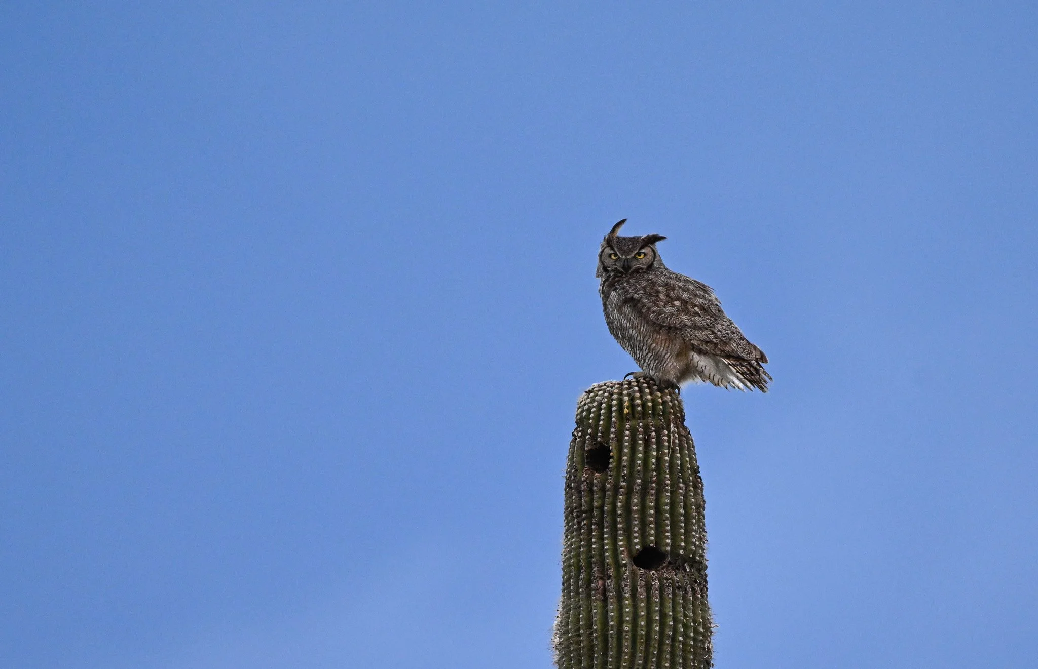 DSC_5039.jpg
