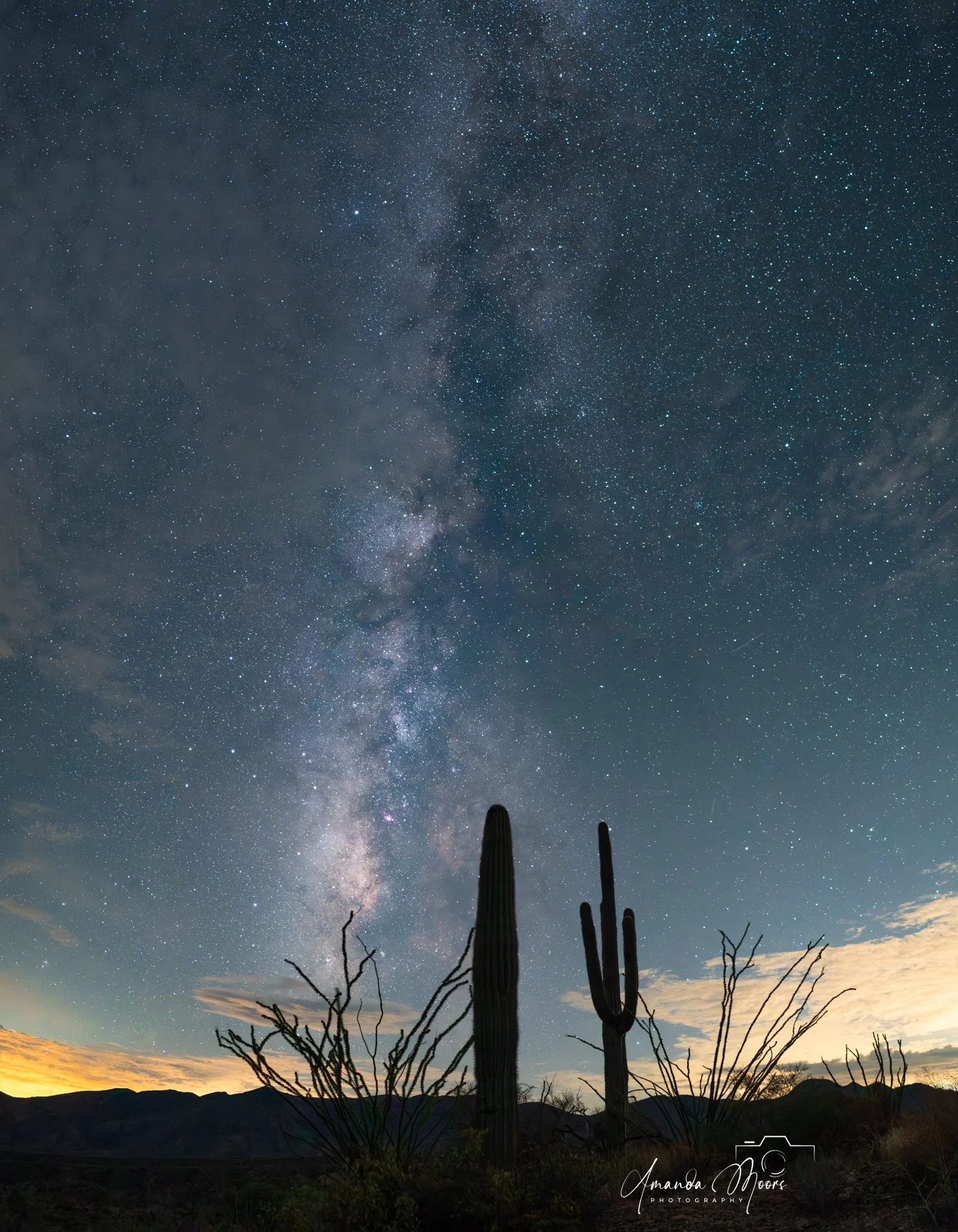 DSC_2367-Pano-89.jpg