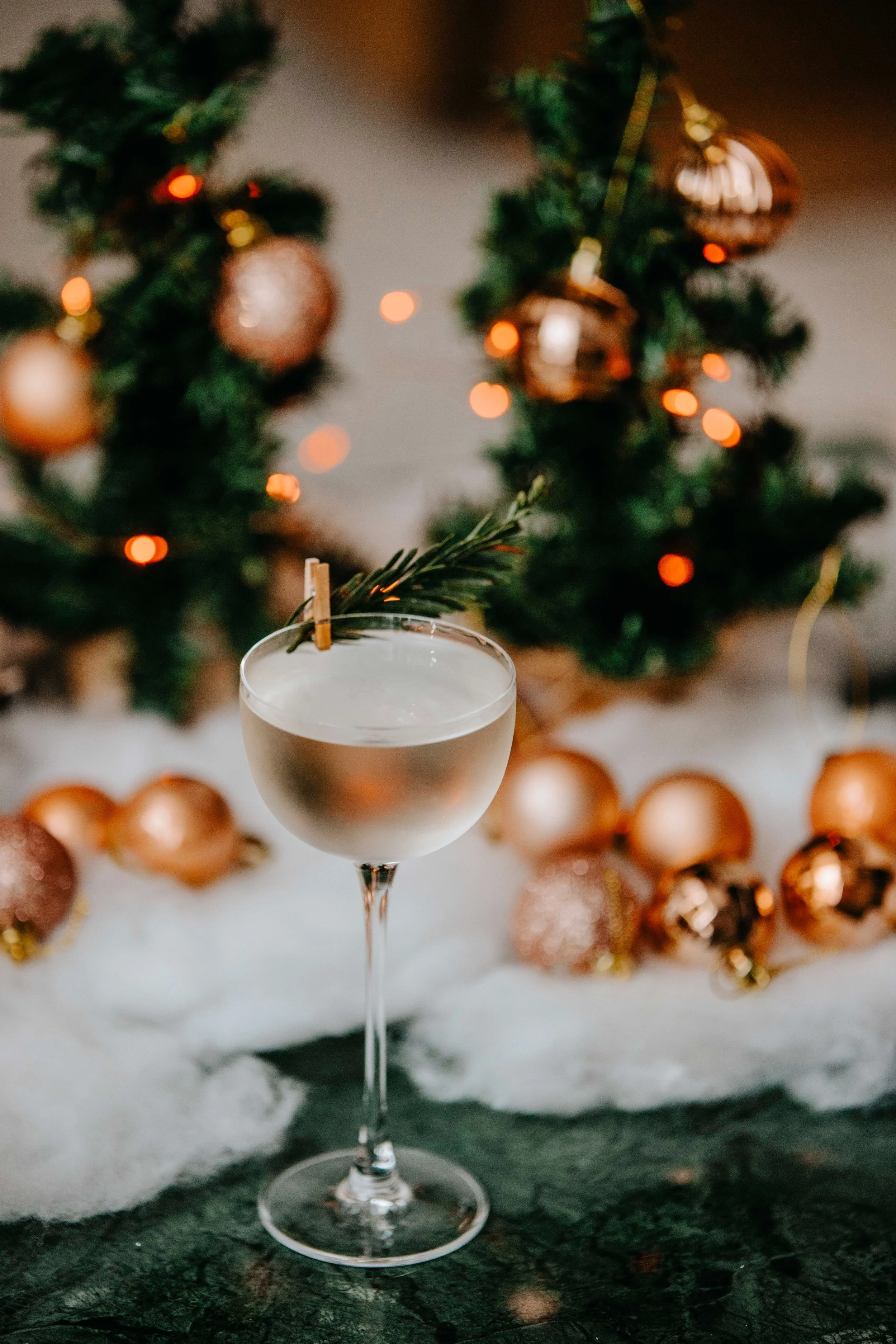 Copy of VVPHOTO-21.jpg