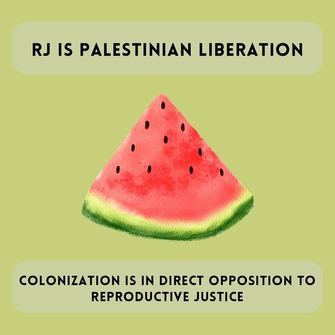 Reproductive Justice is Palestinian liberation, period. Collective liberation is an RRFP value, and that includes a free Palestine. We call on our fellow funds and peers in joining us in signing a letter written by @arc_southeast . Link in our bio.

