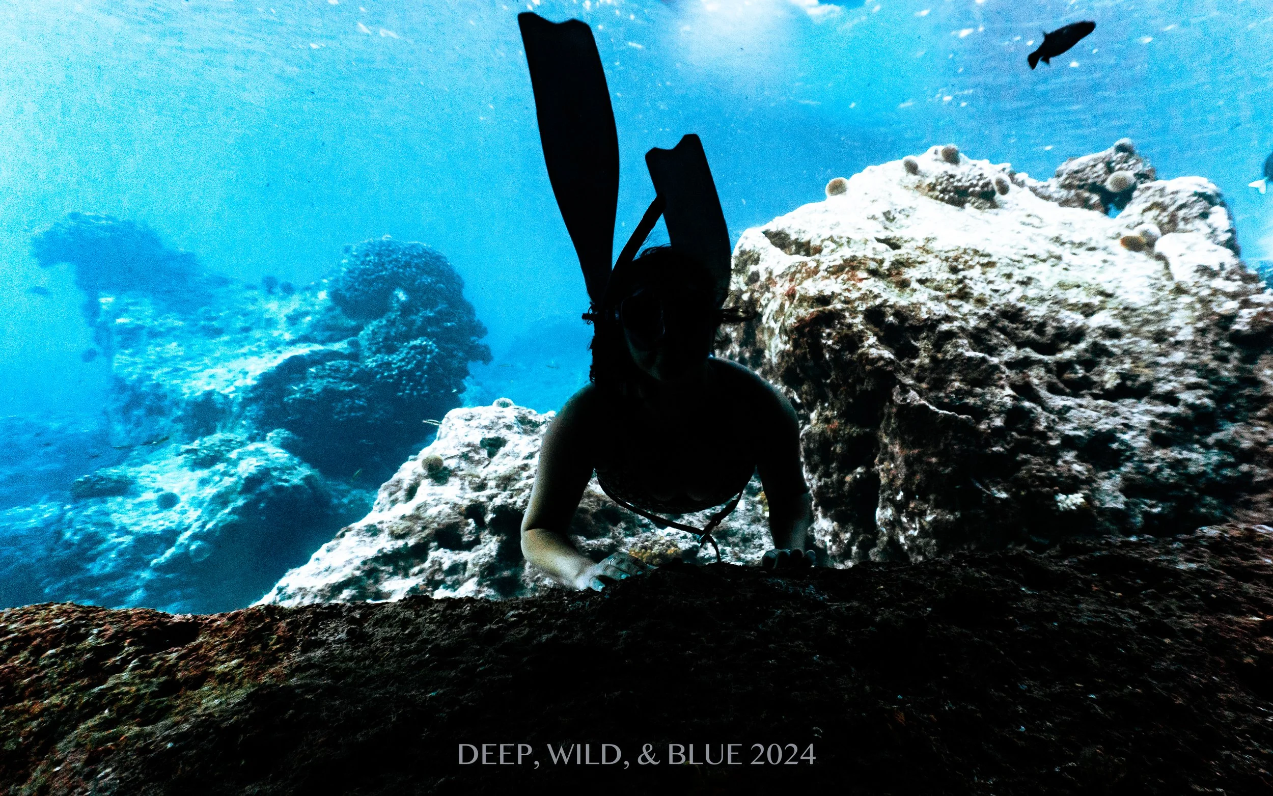 freediving retreat la ventana
