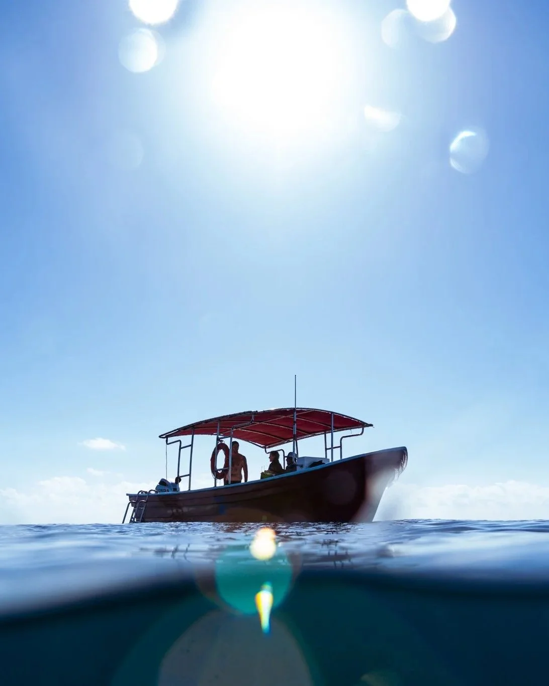Sea Safari in La Ventana
