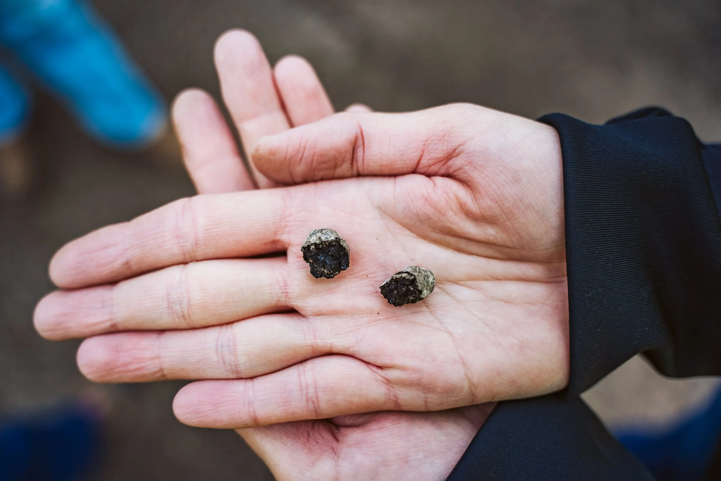 From Roof Shingles to Road Performance: BATT Supports RenuCore’s™ Lab Validation and MnROAD Pilot Pave