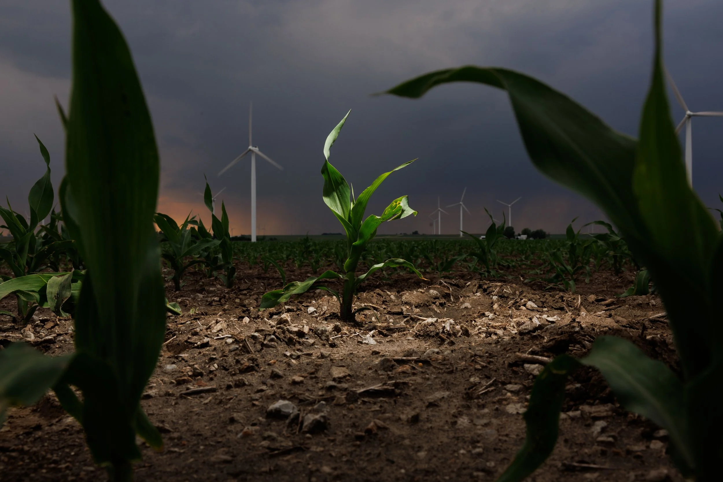 Who owns most of the farmland in Illinois? Not farmers.